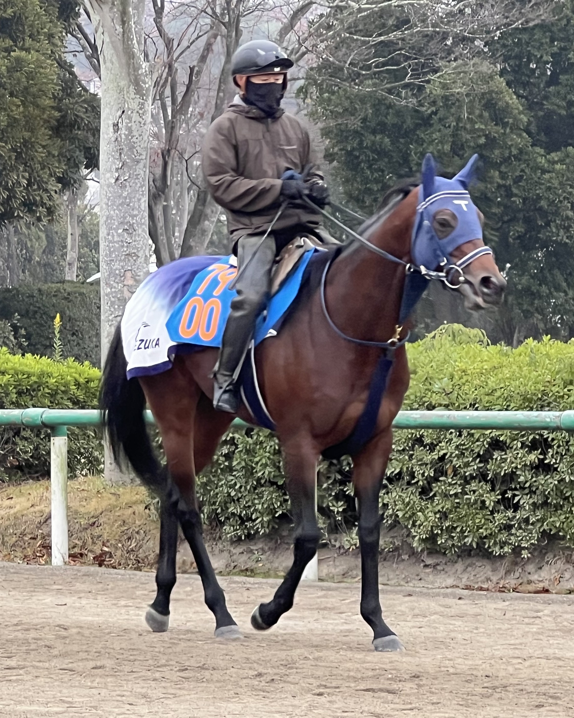 画像サムネイル