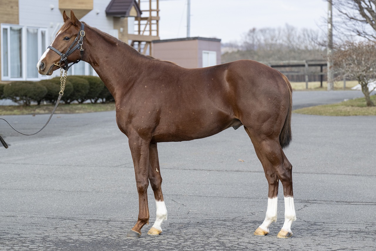 画像サムネイル