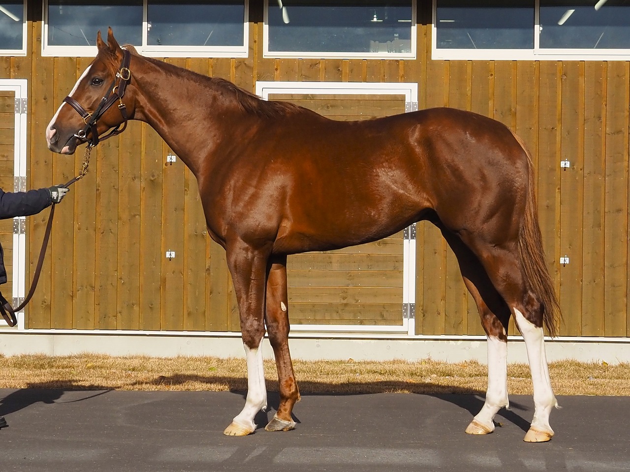 画像サムネイル