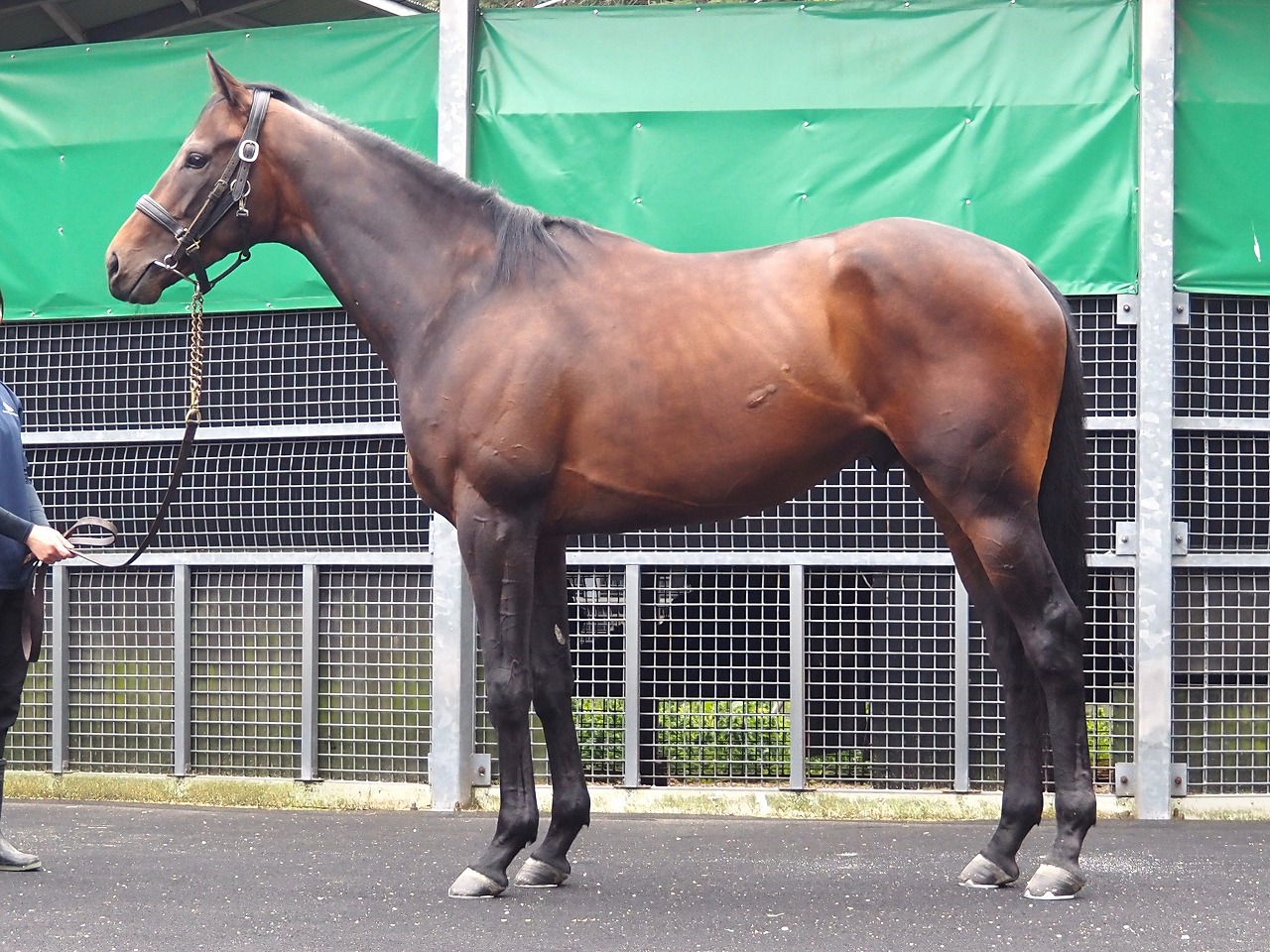 画像サムネイル