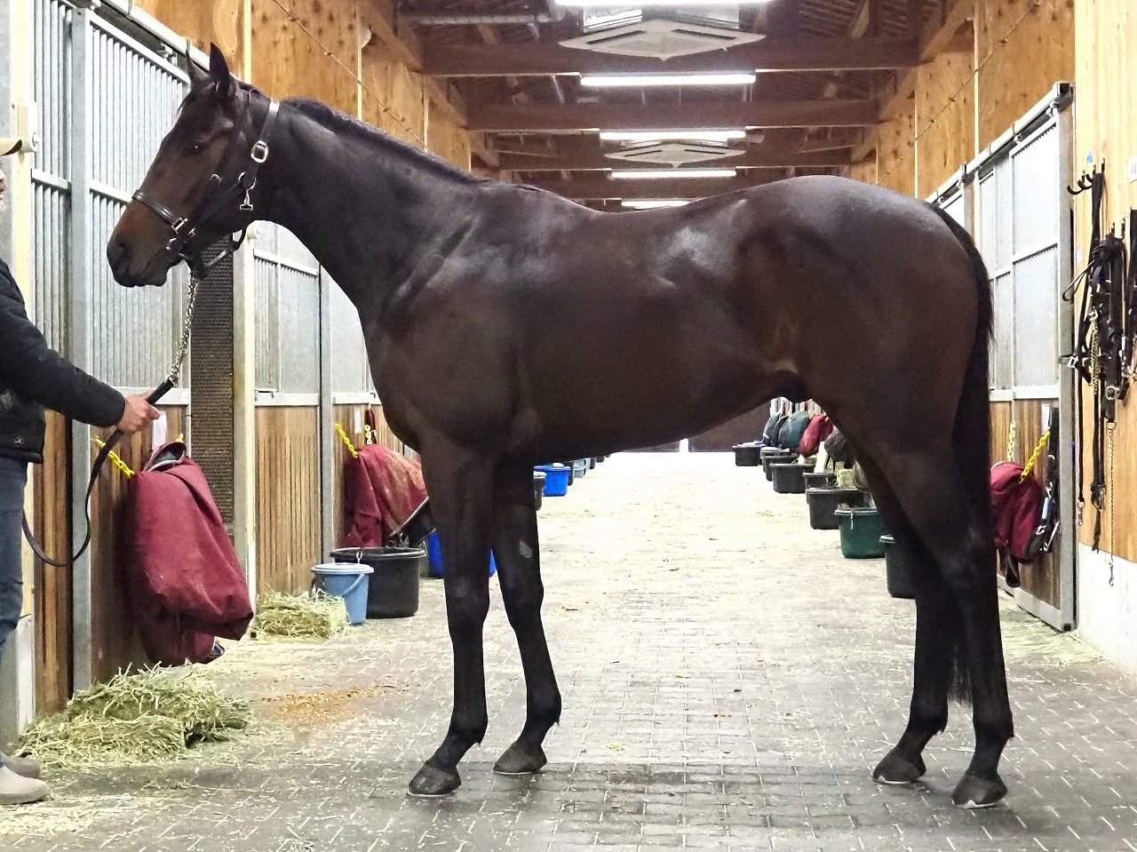 画像サムネイル