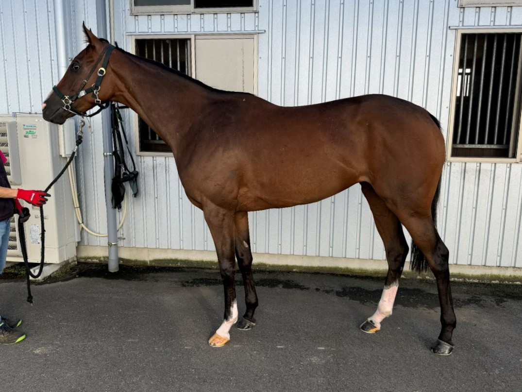 画像サムネイル