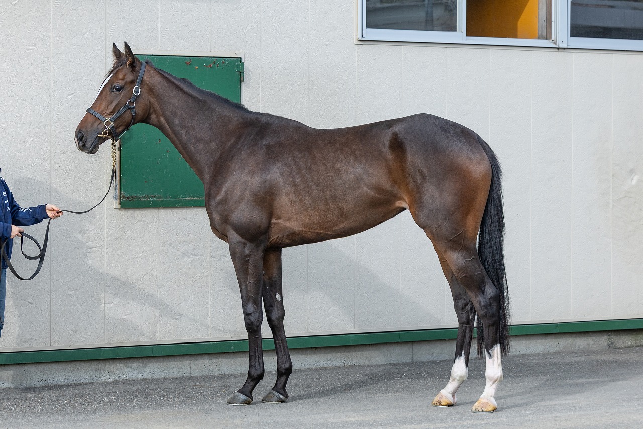 画像サムネイル