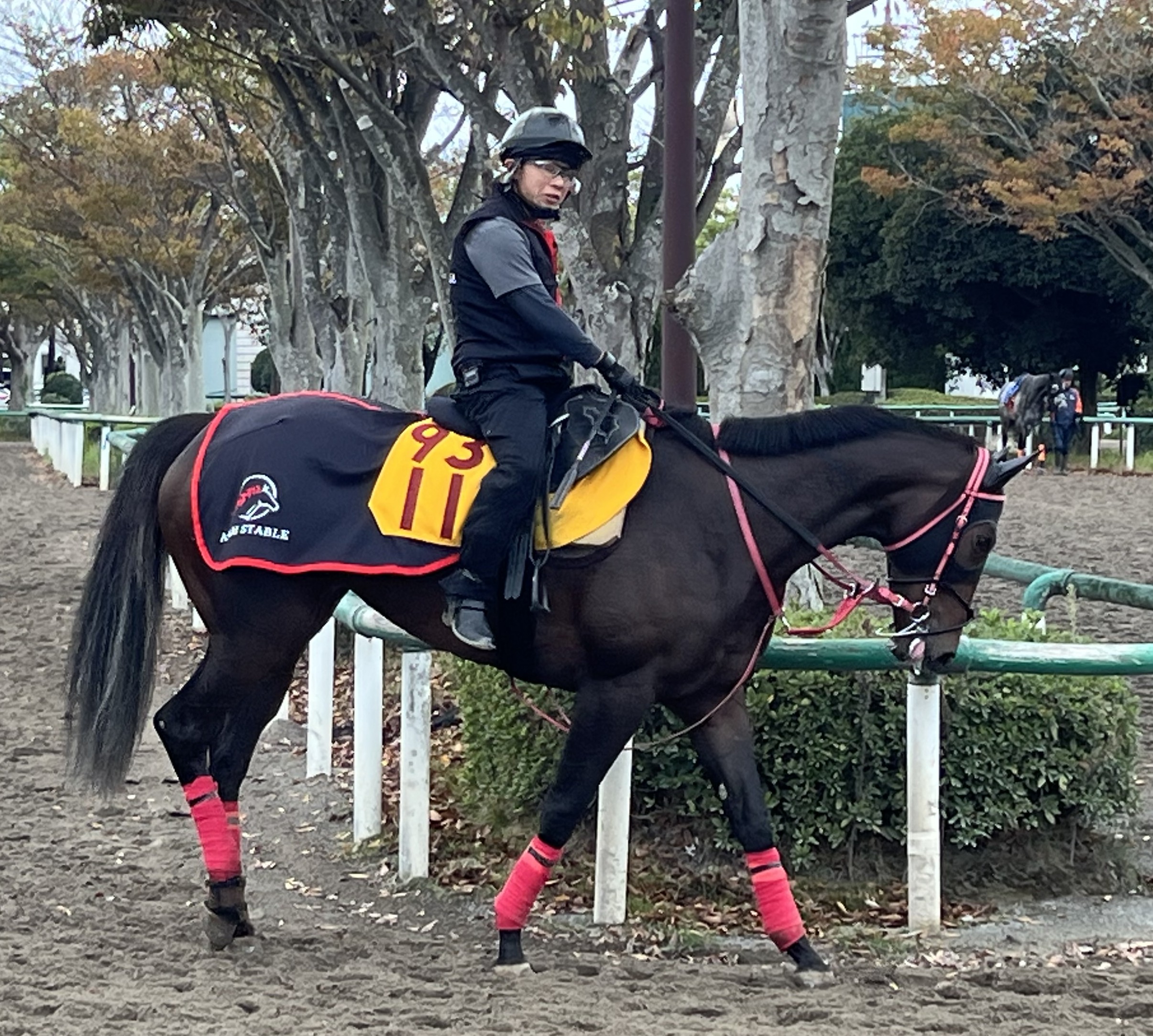 画像サムネイル