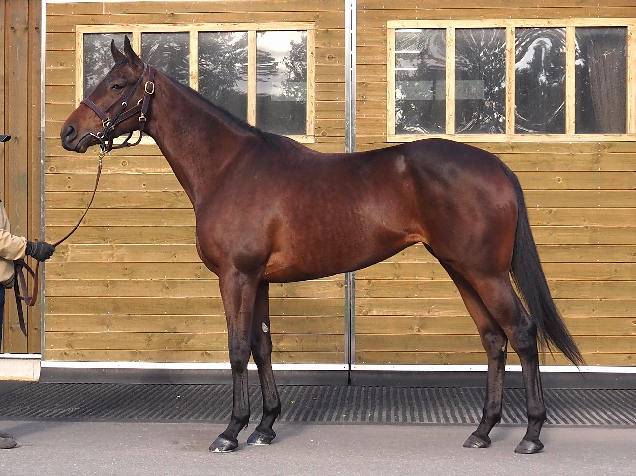 画像サムネイル