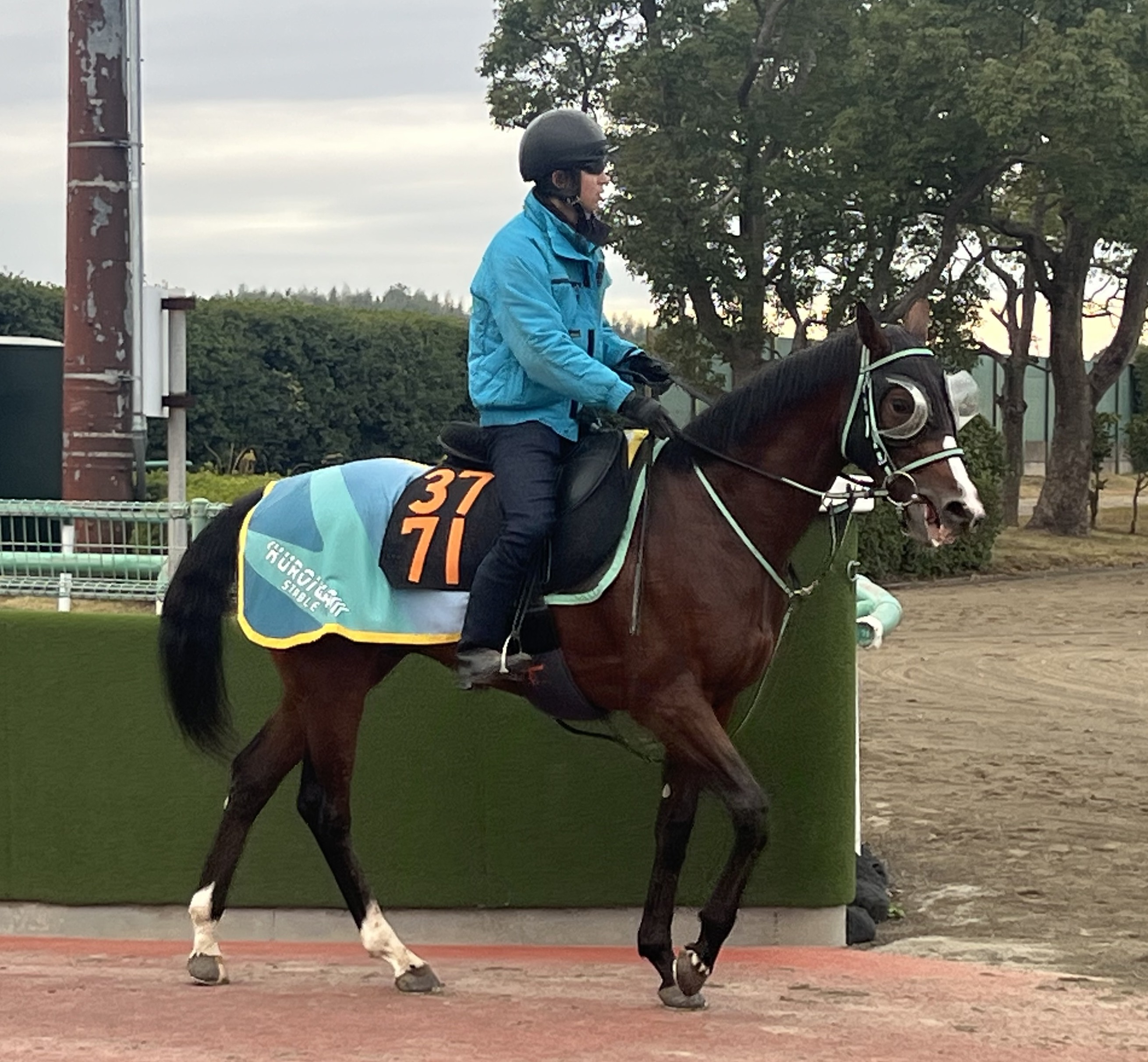 画像サムネイル