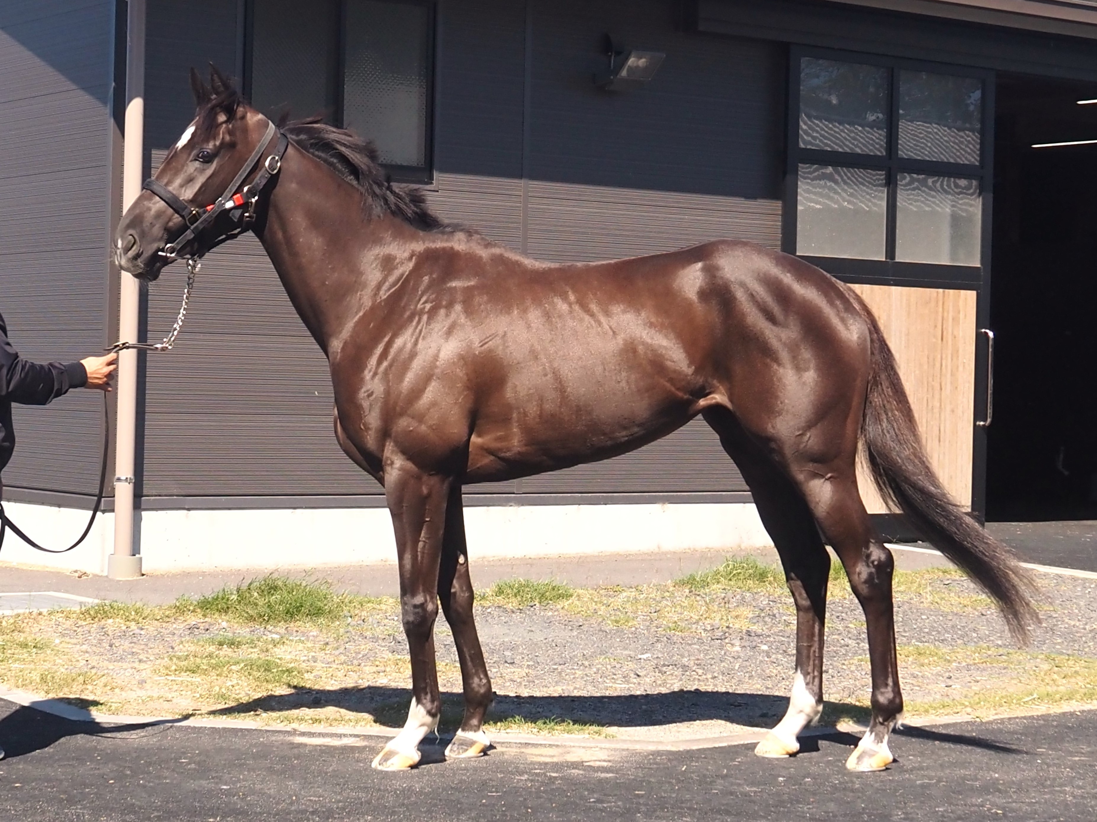 画像サムネイル