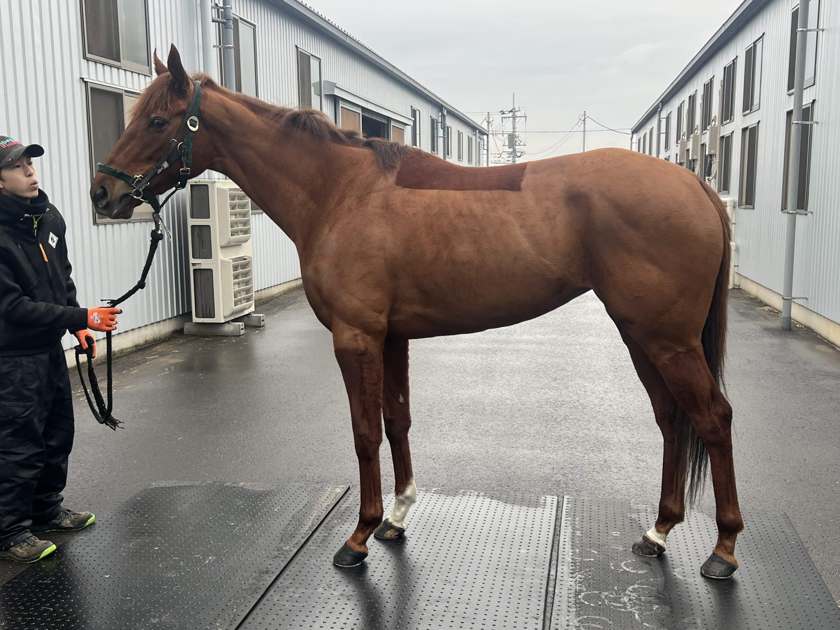 画像サムネイル