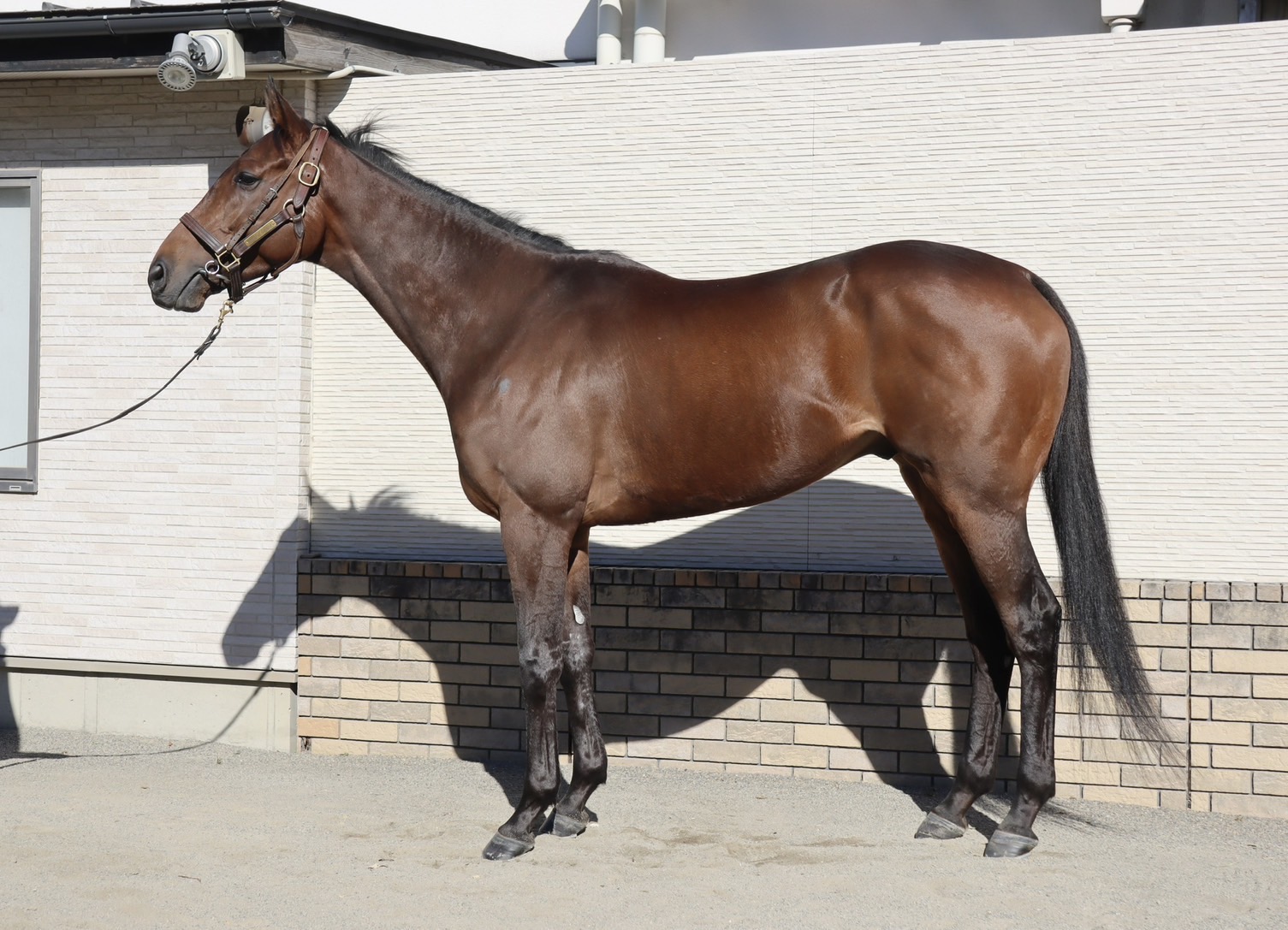 画像サムネイル