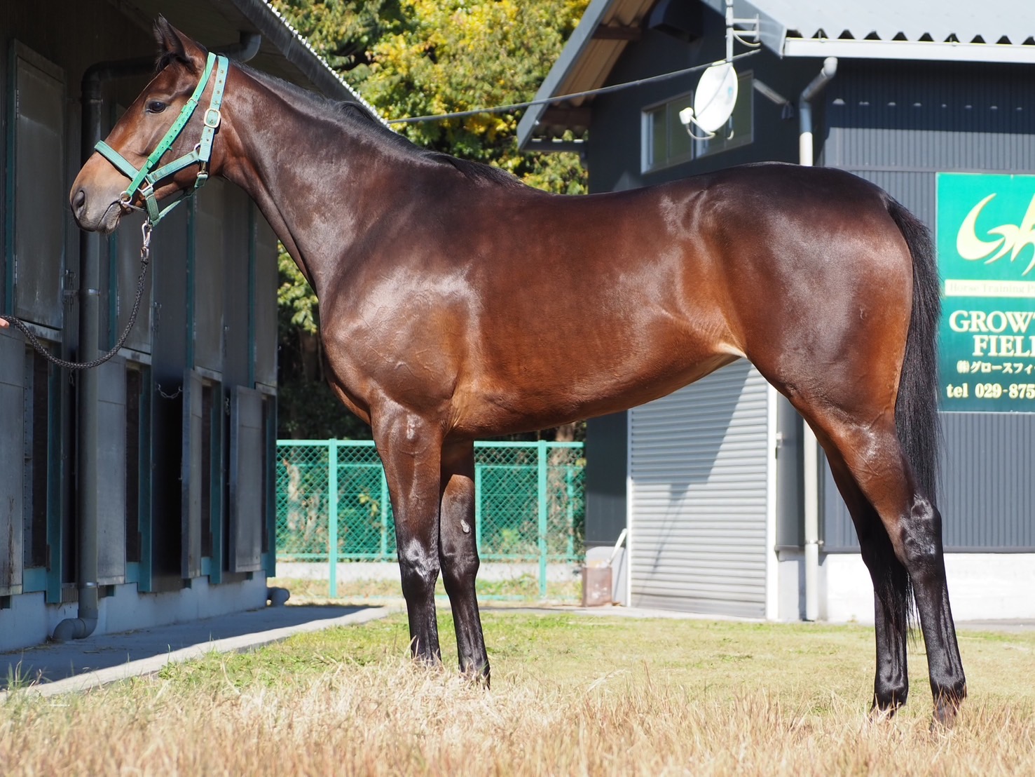 画像サムネイル