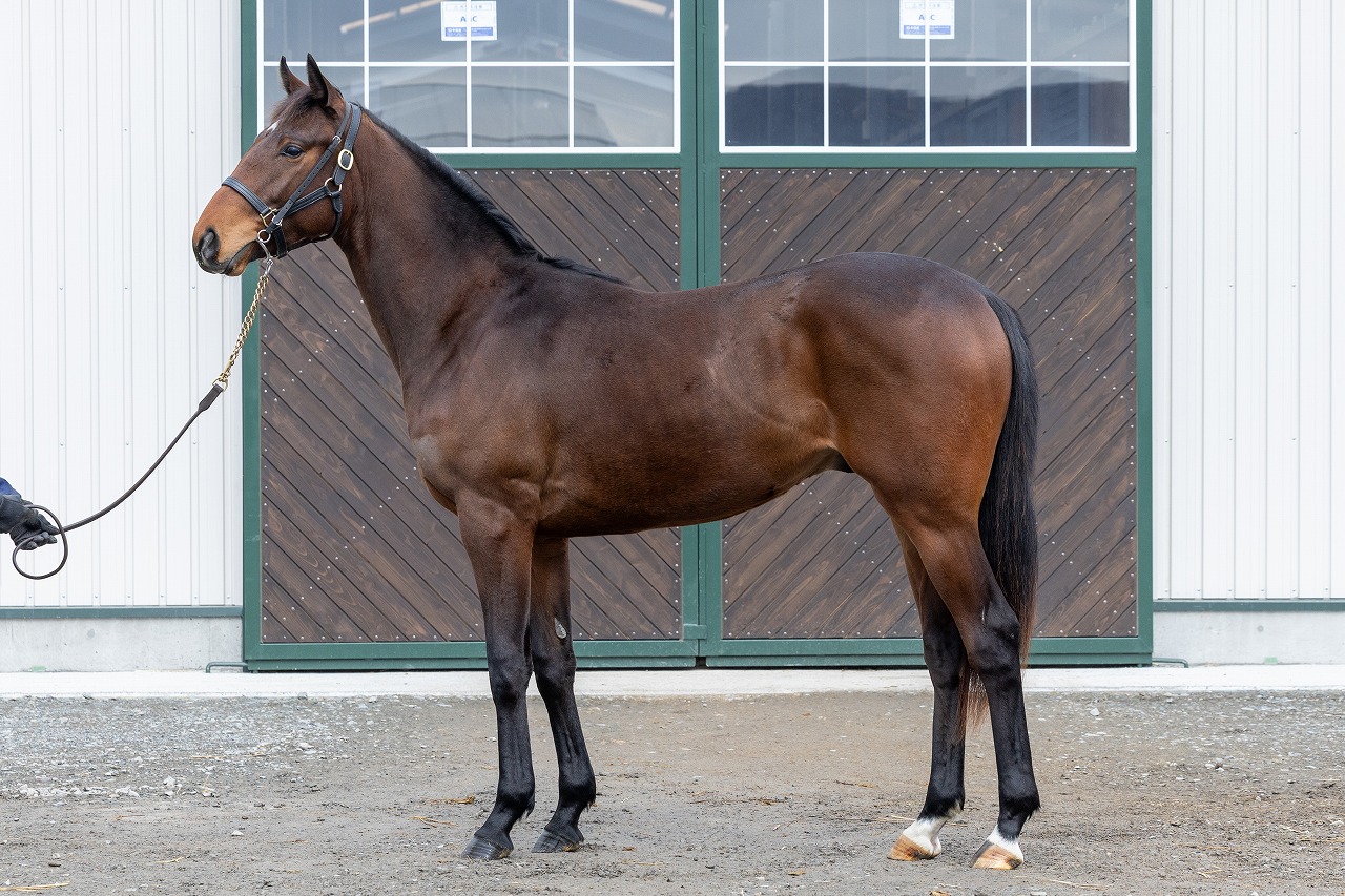 画像サムネイル