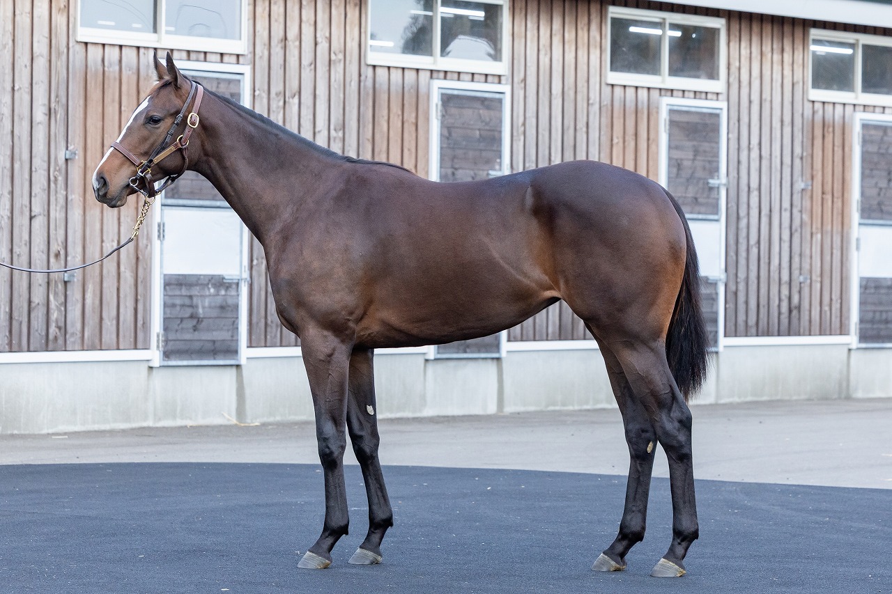 画像サムネイル