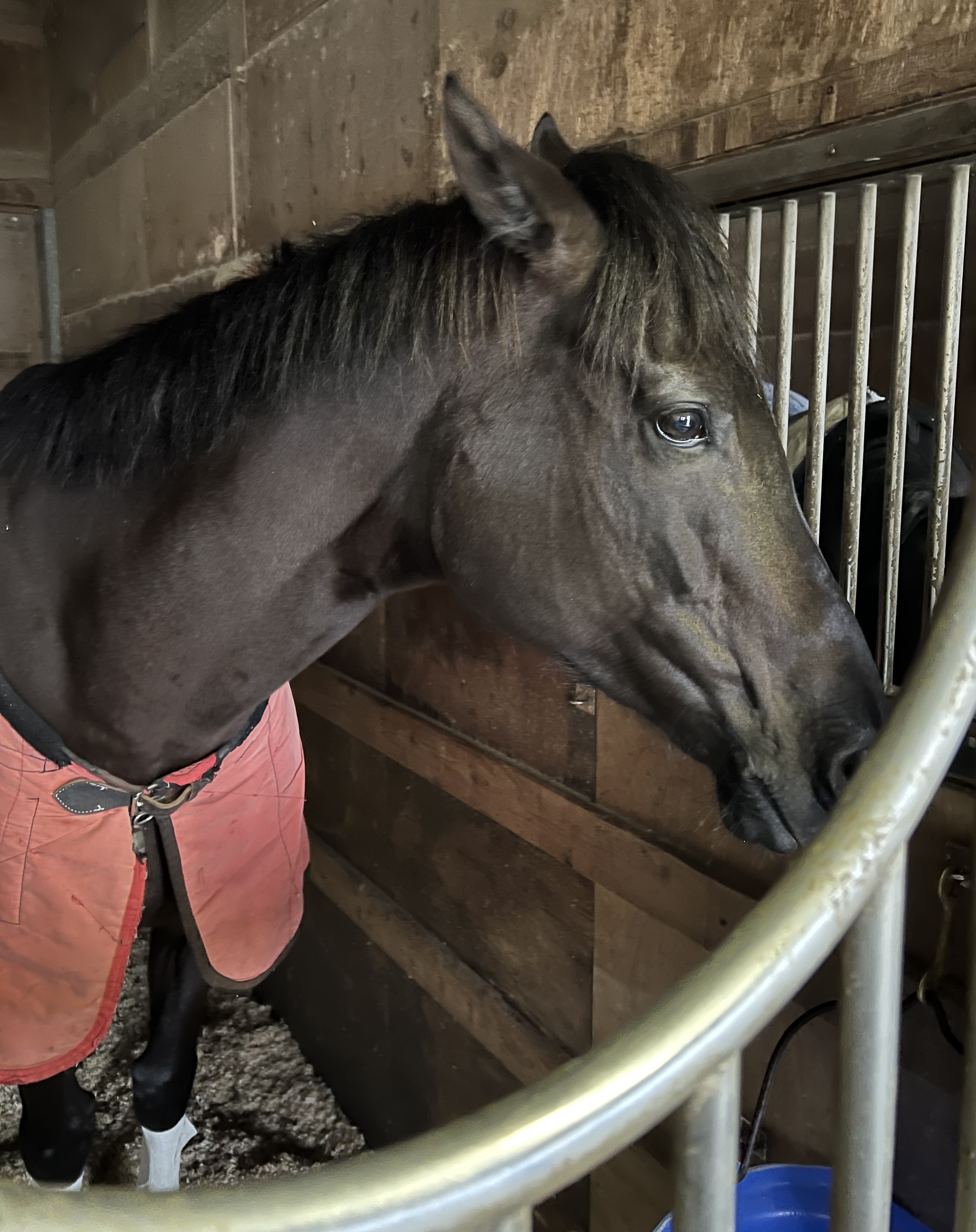 画像サムネイル