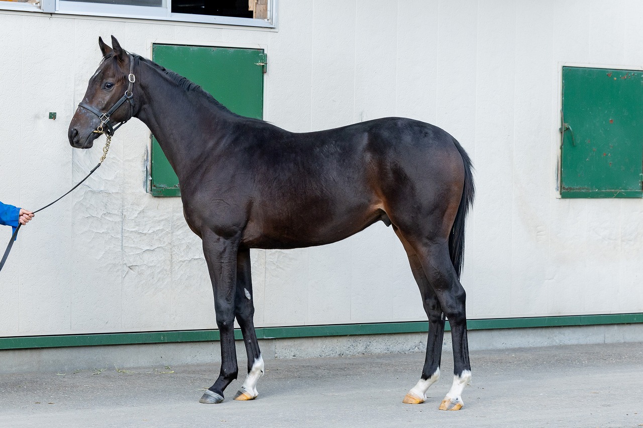 画像サムネイル