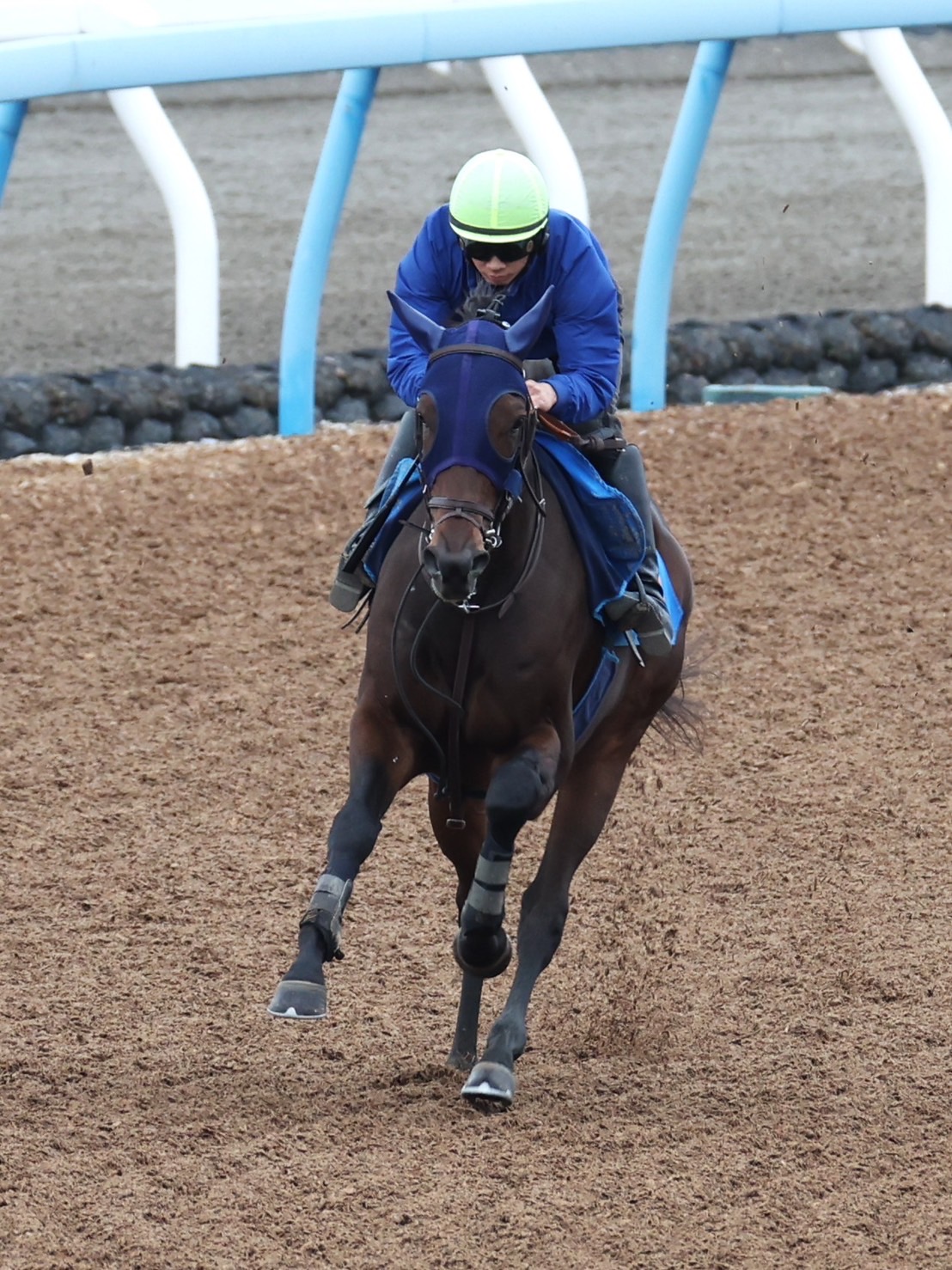 画像サムネイル