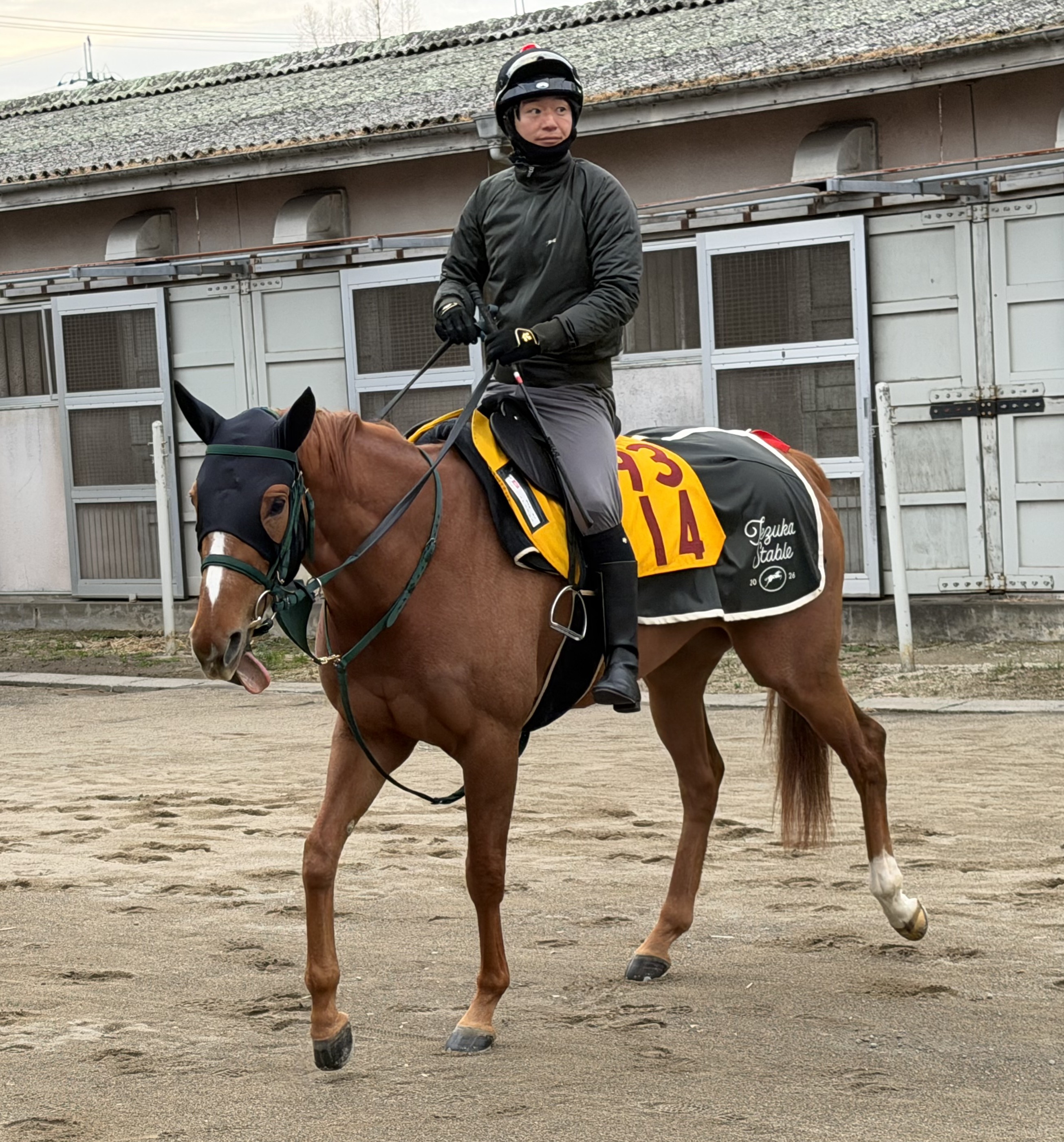 画像サムネイル