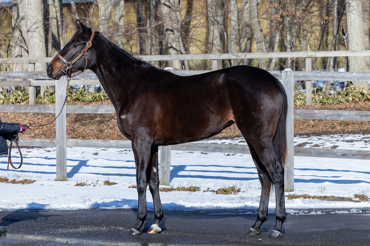 画像サムネイル