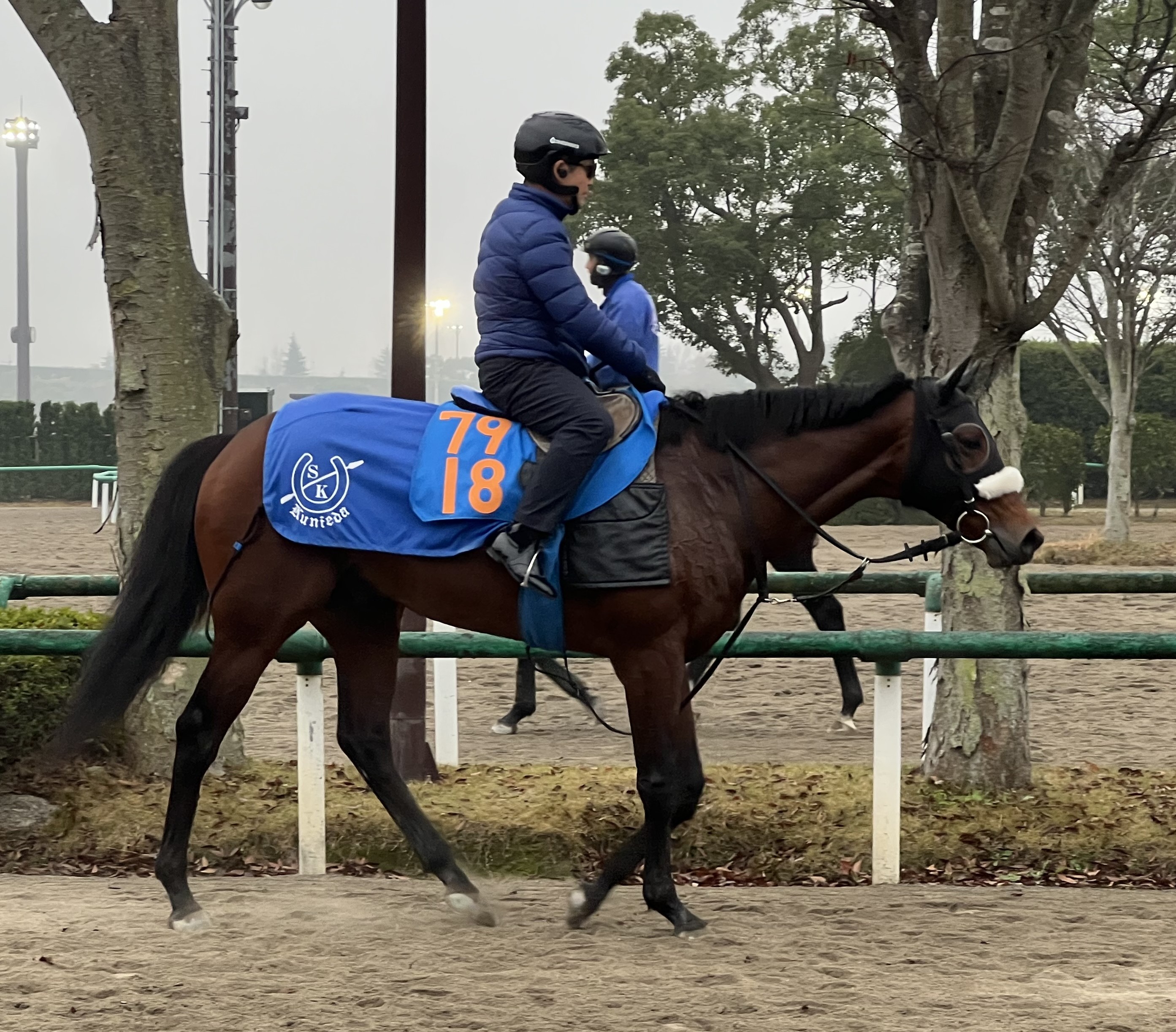 画像サムネイル