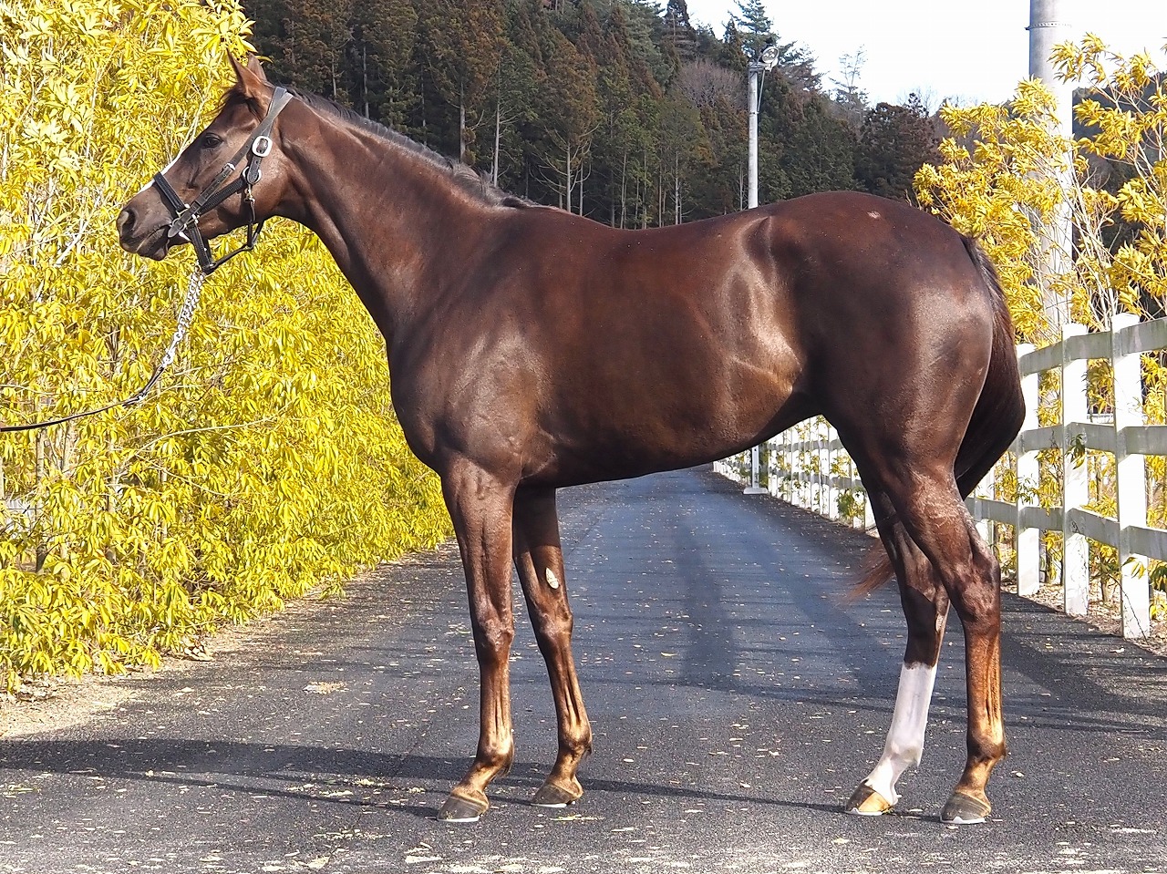 画像サムネイル