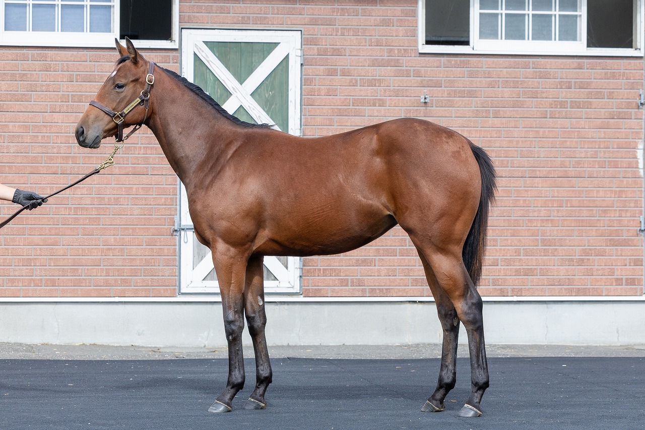 画像サムネイル