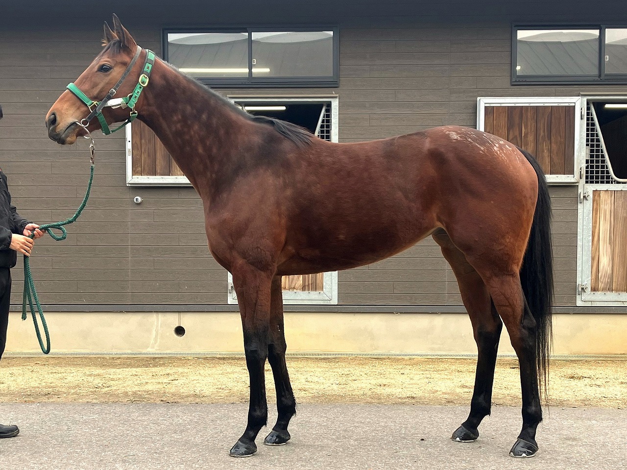 画像サムネイル