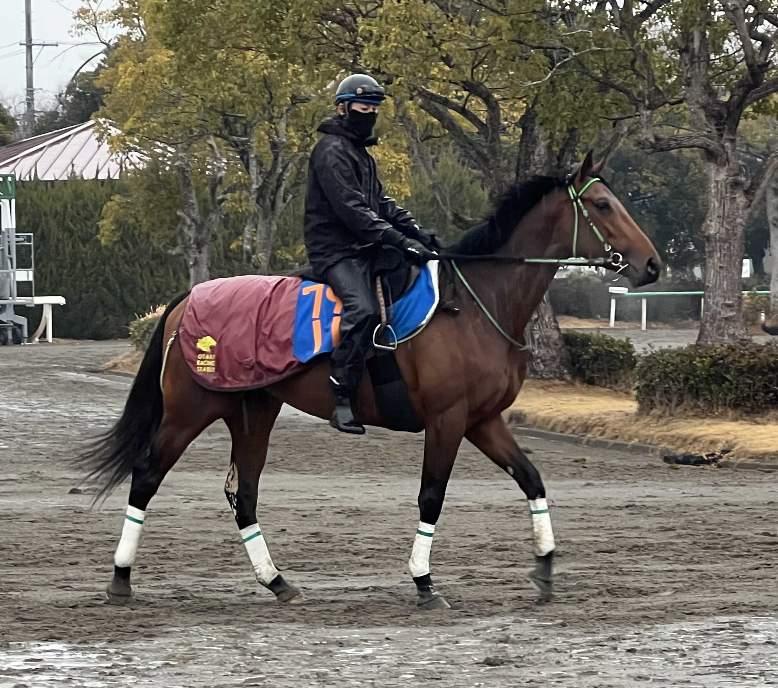 画像サムネイル