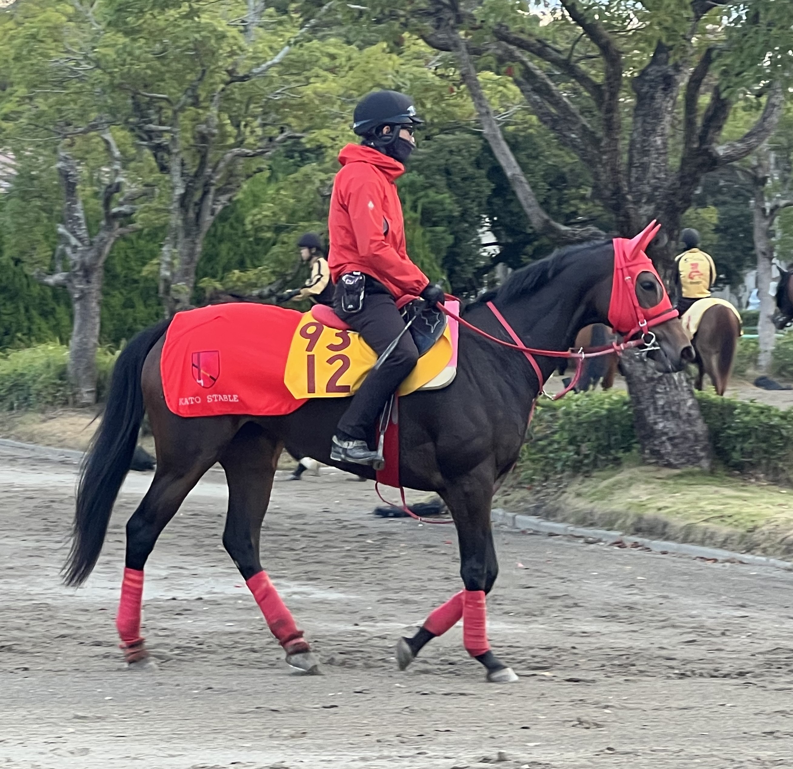 画像サムネイル