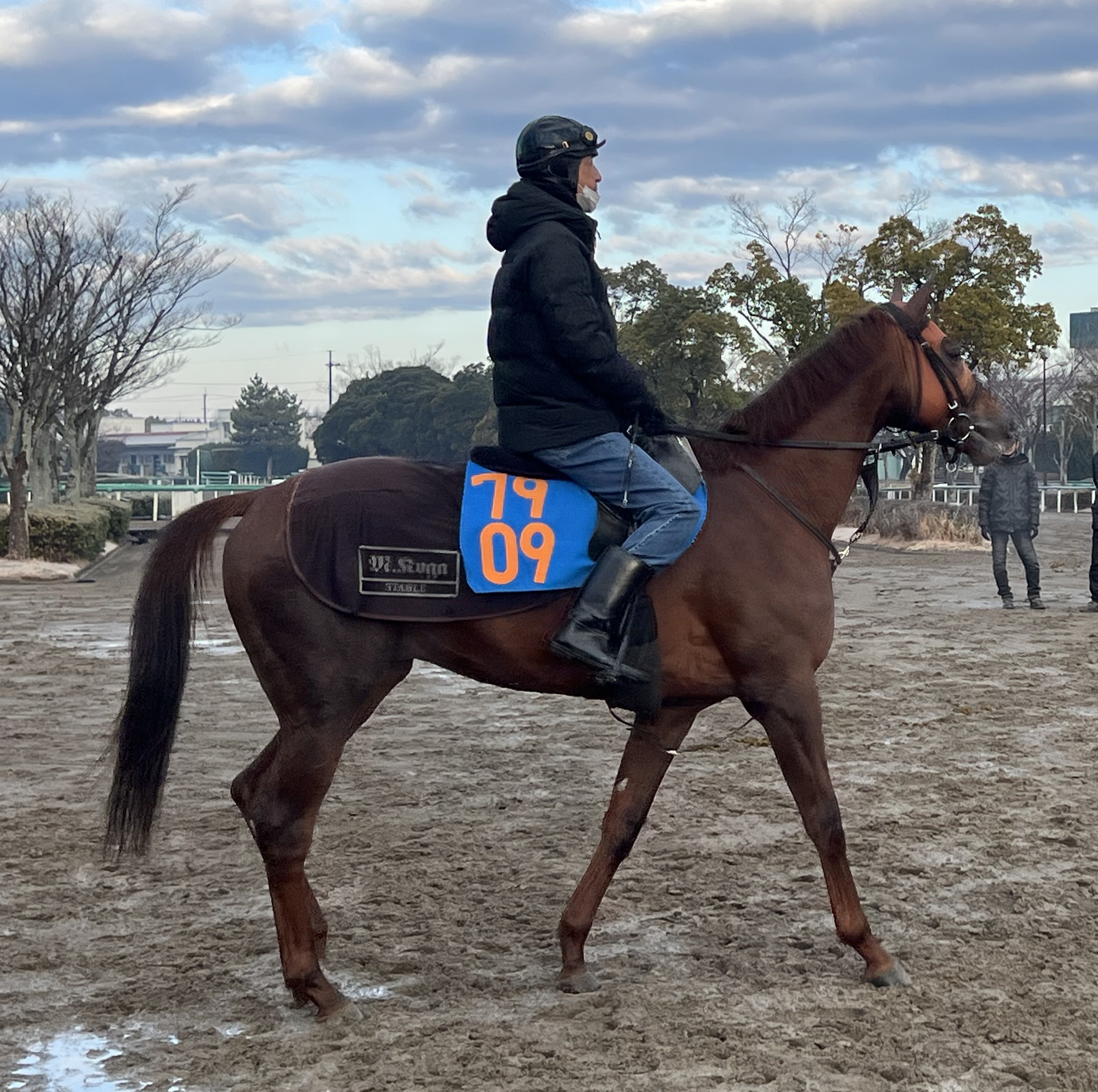 画像サムネイル