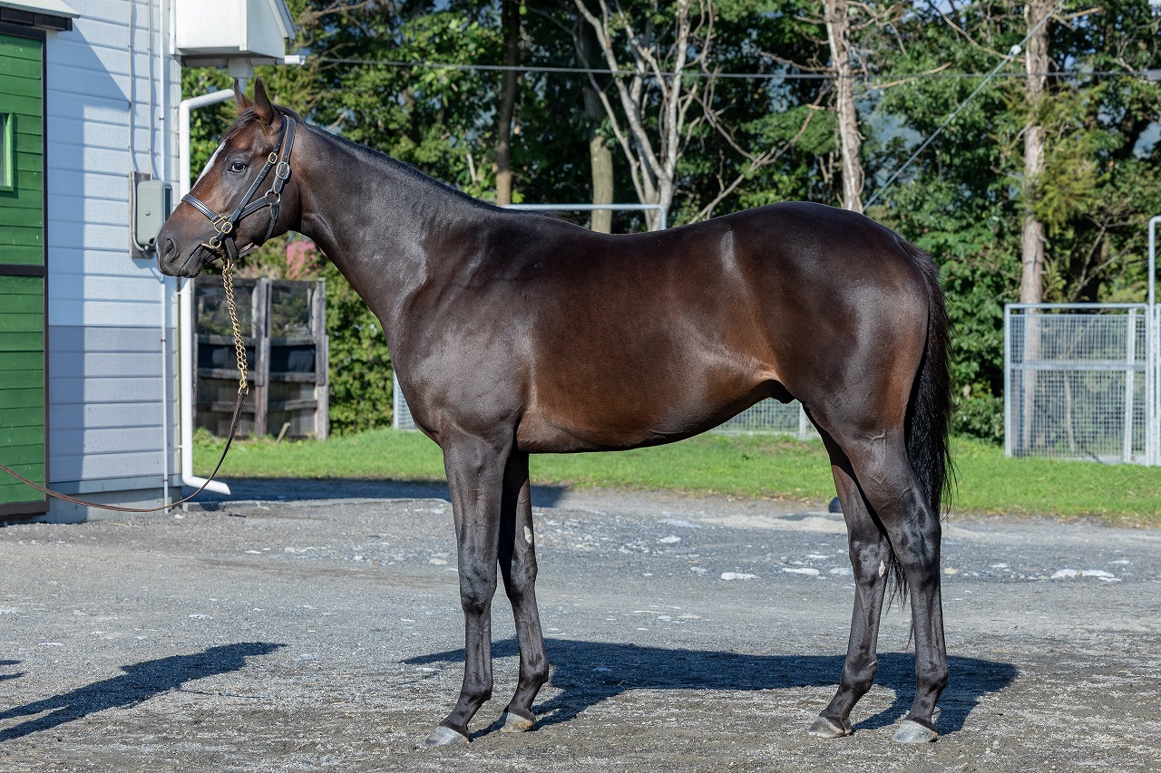 画像サムネイル