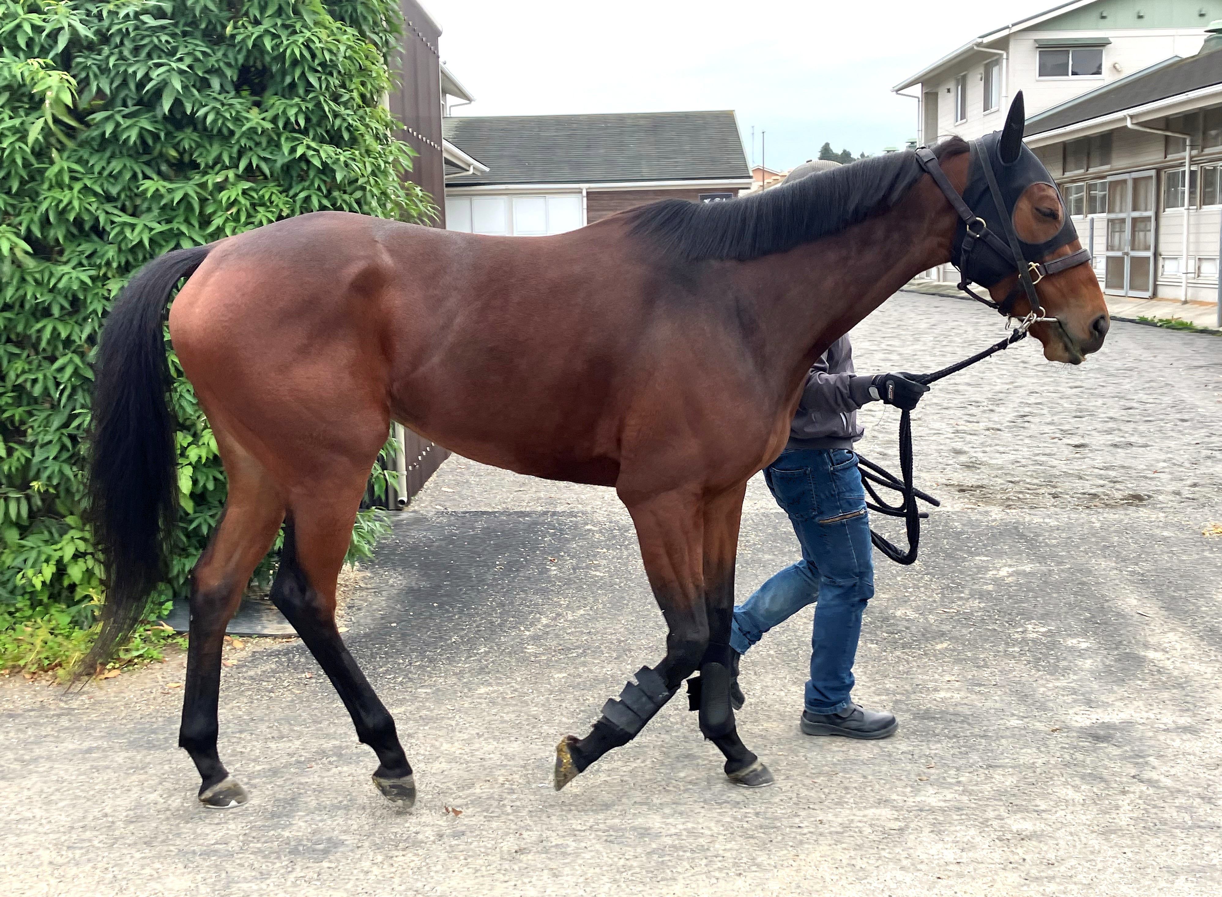 画像サムネイル