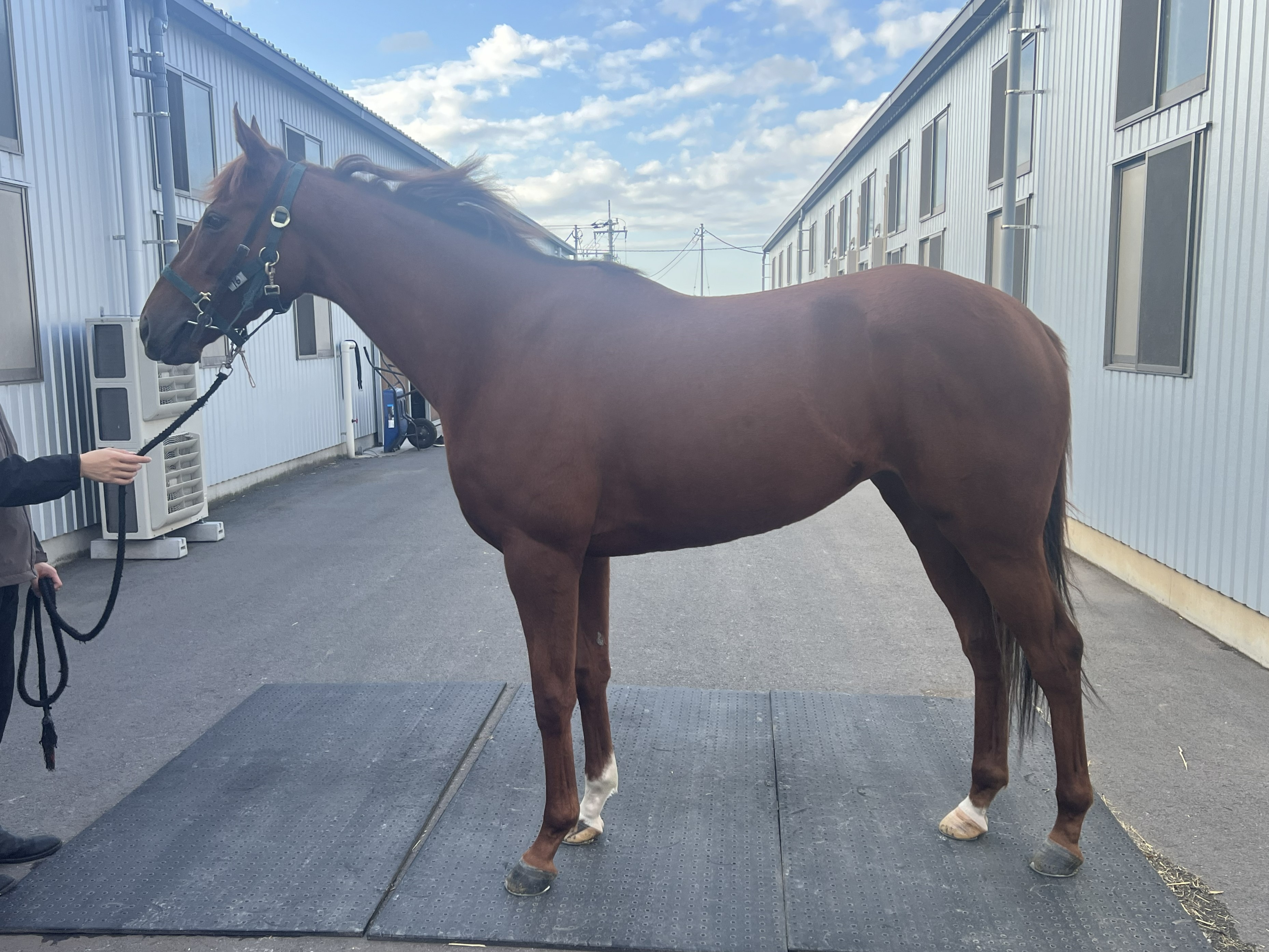 画像サムネイル