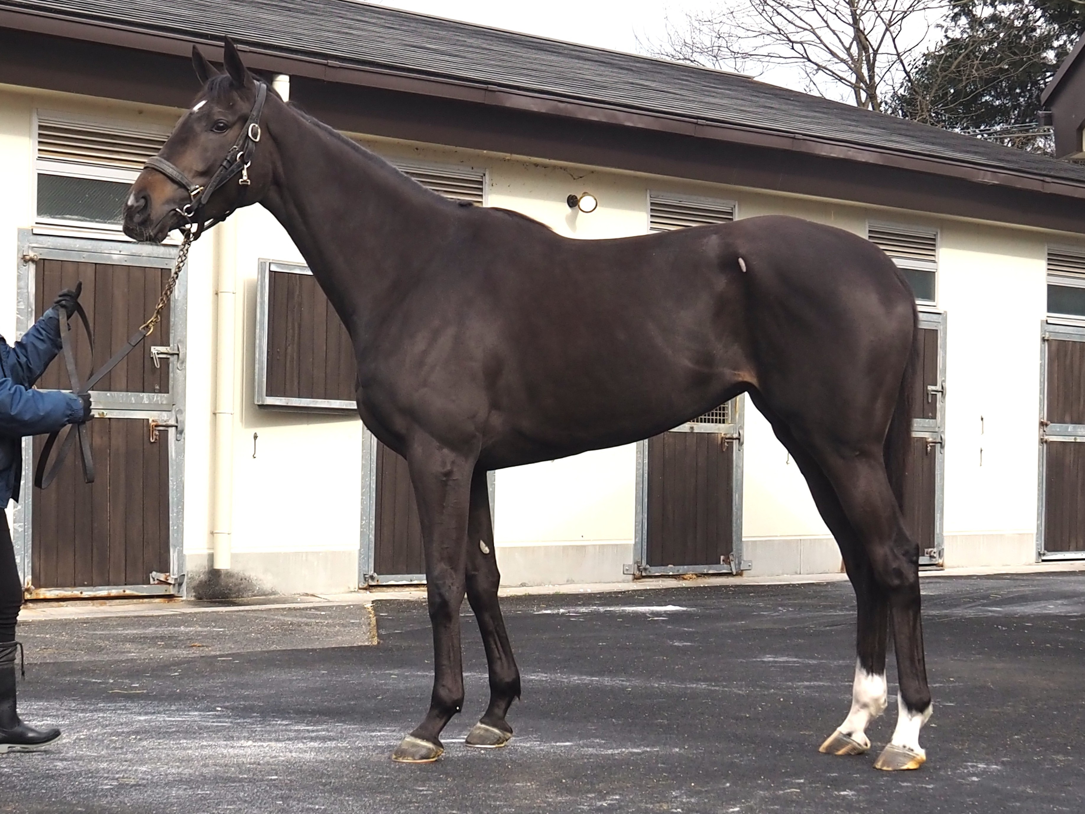 画像サムネイル