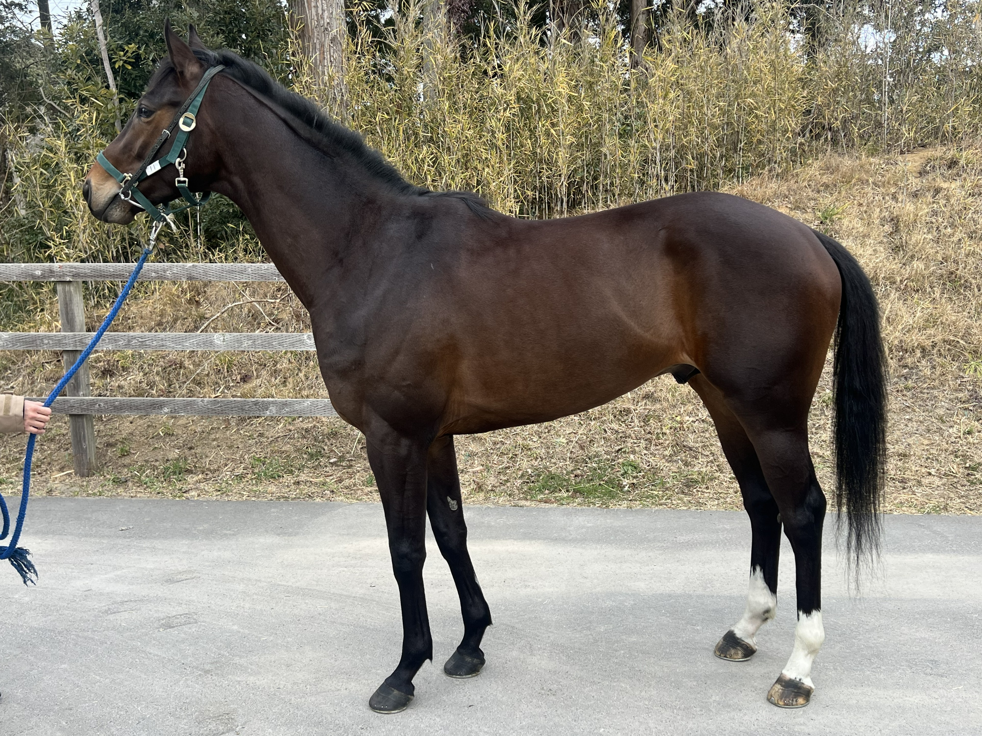 画像サムネイル