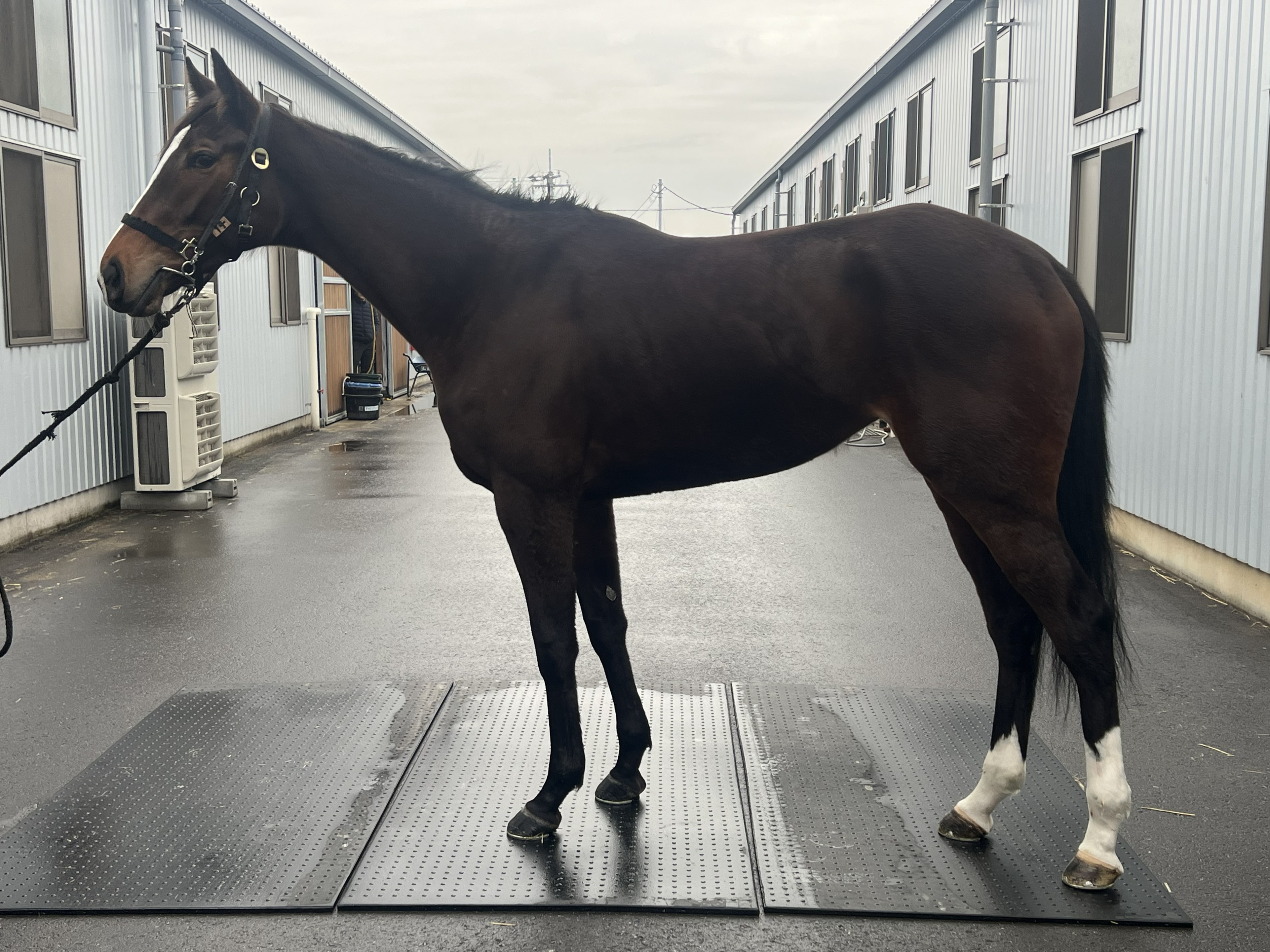 画像サムネイル