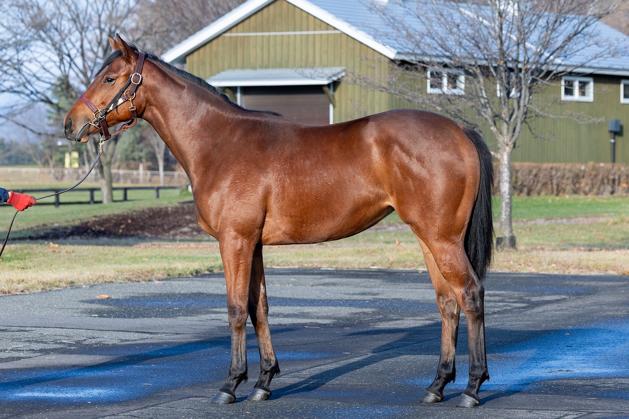 画像サムネイル