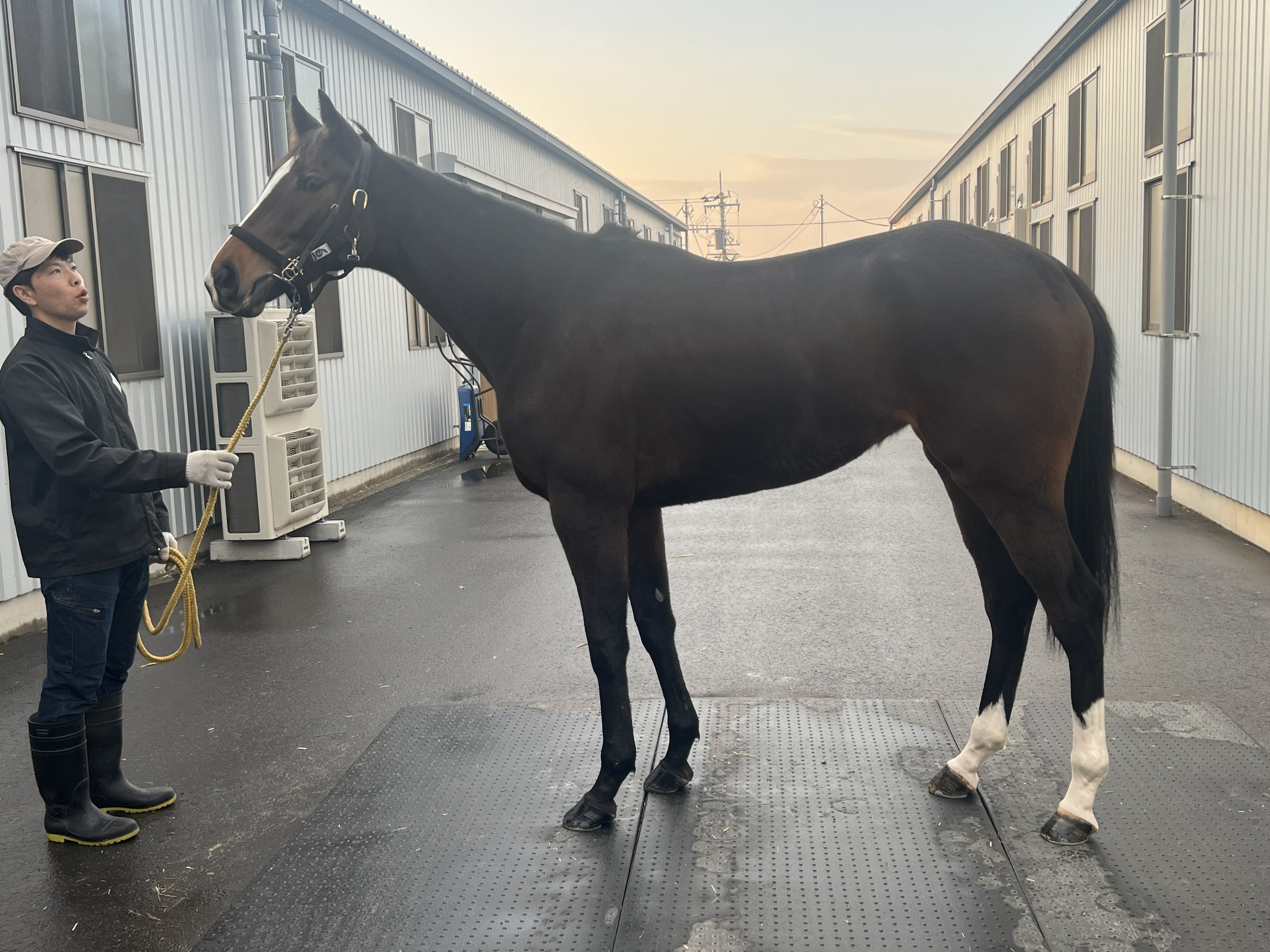 画像サムネイル