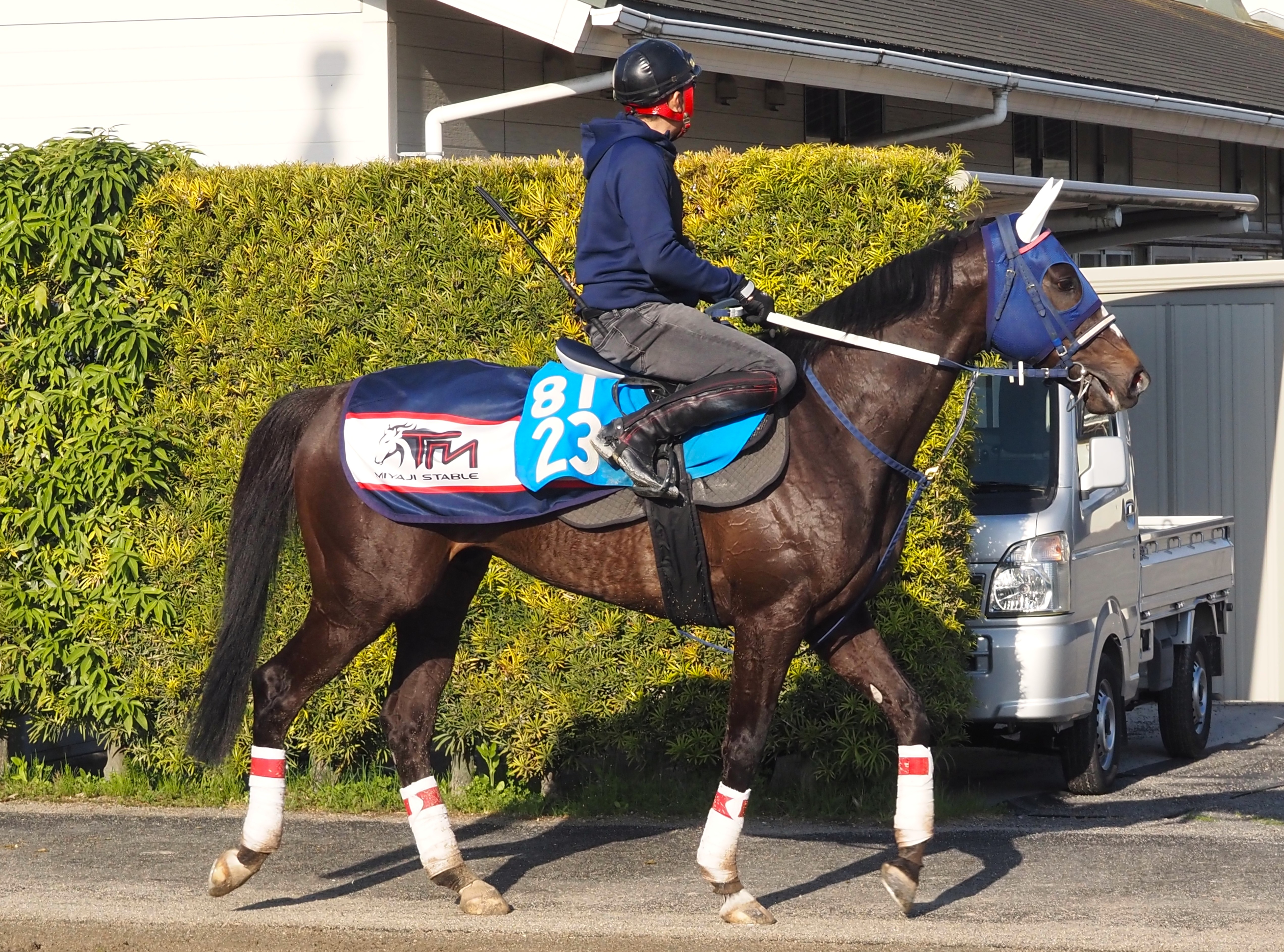 画像サムネイル