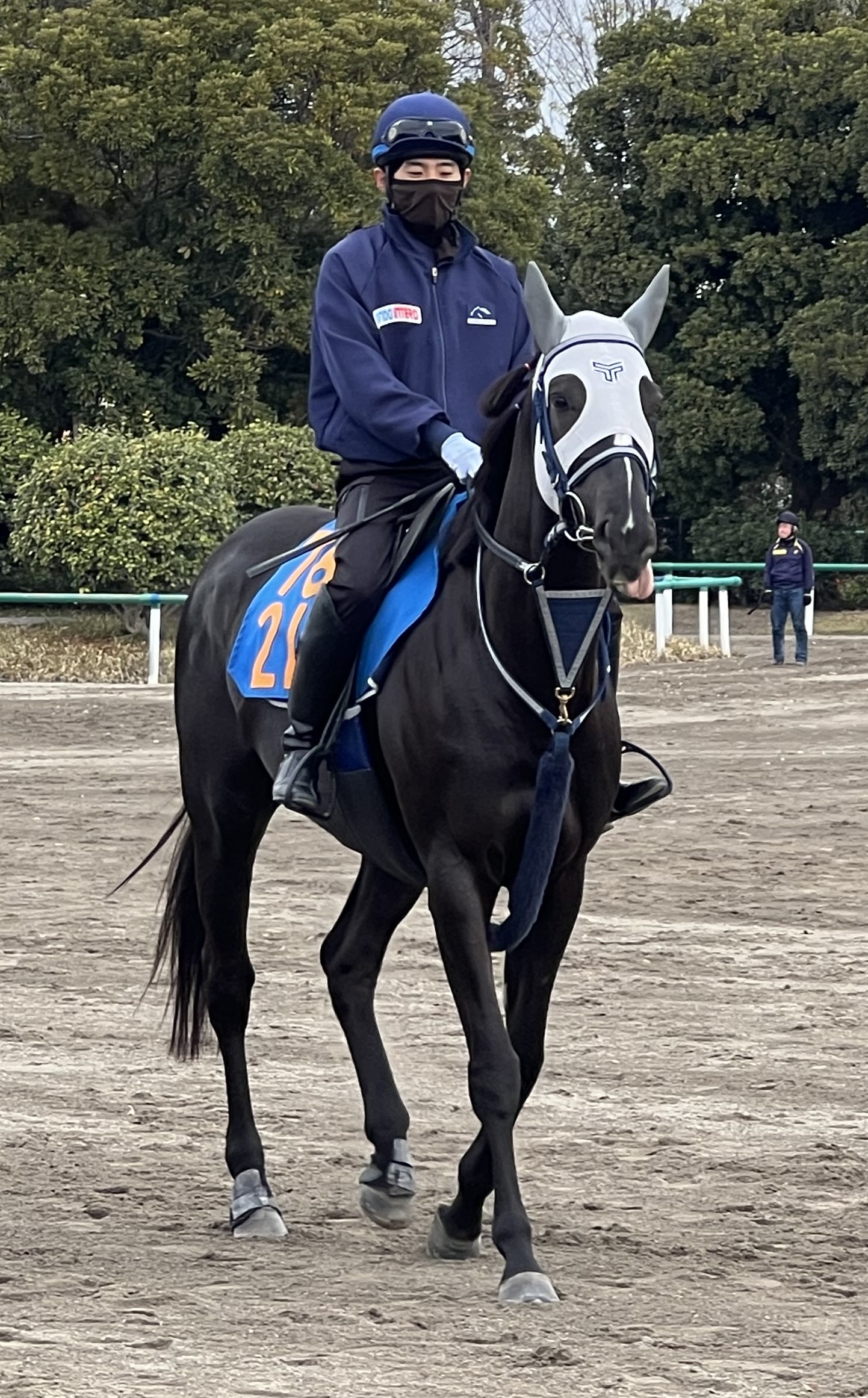 画像サムネイル