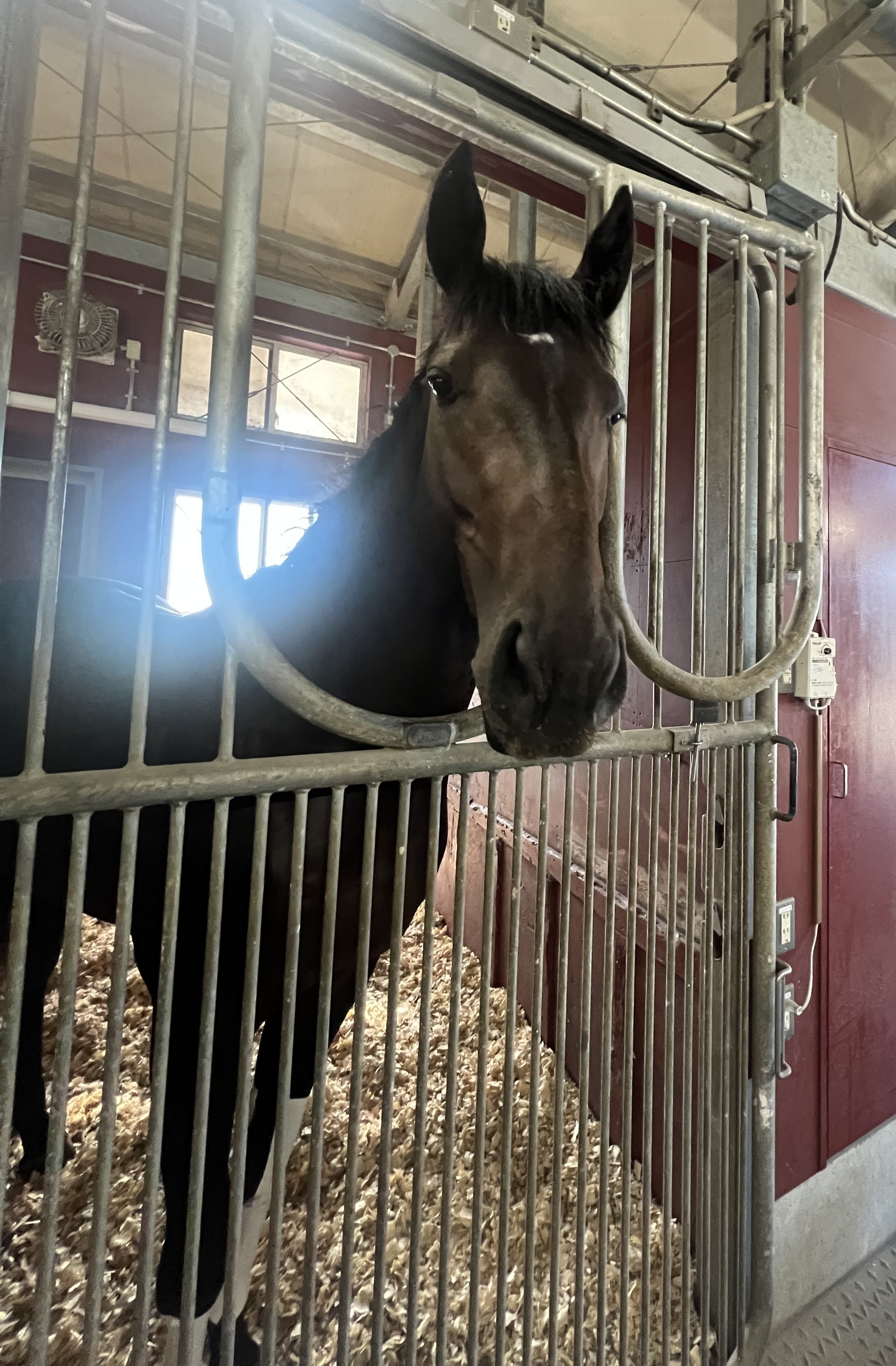 画像サムネイル