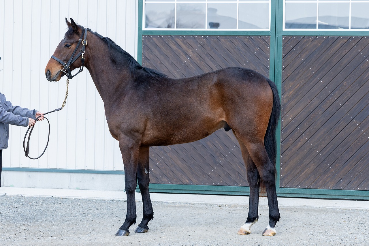 画像サムネイル