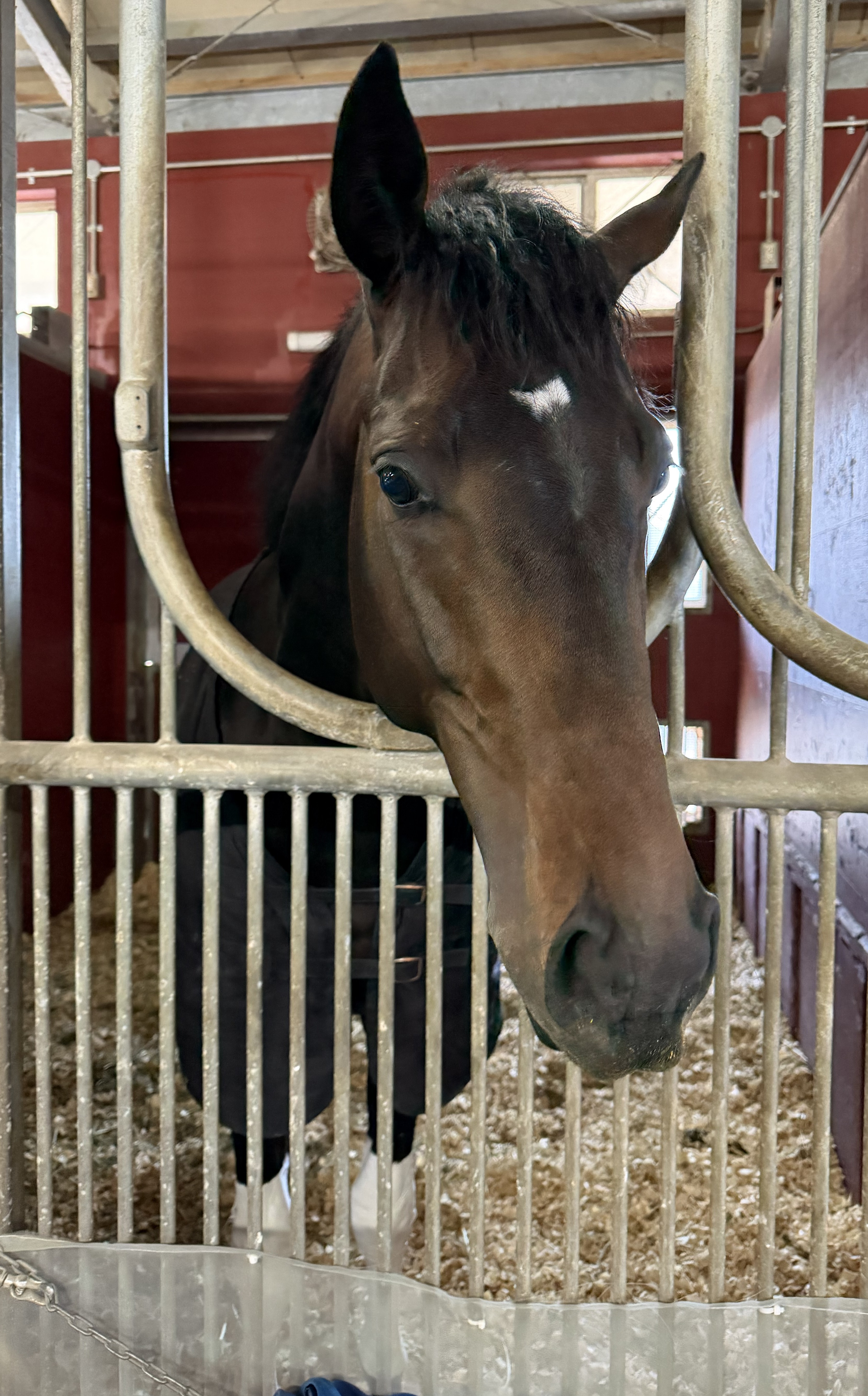 画像サムネイル