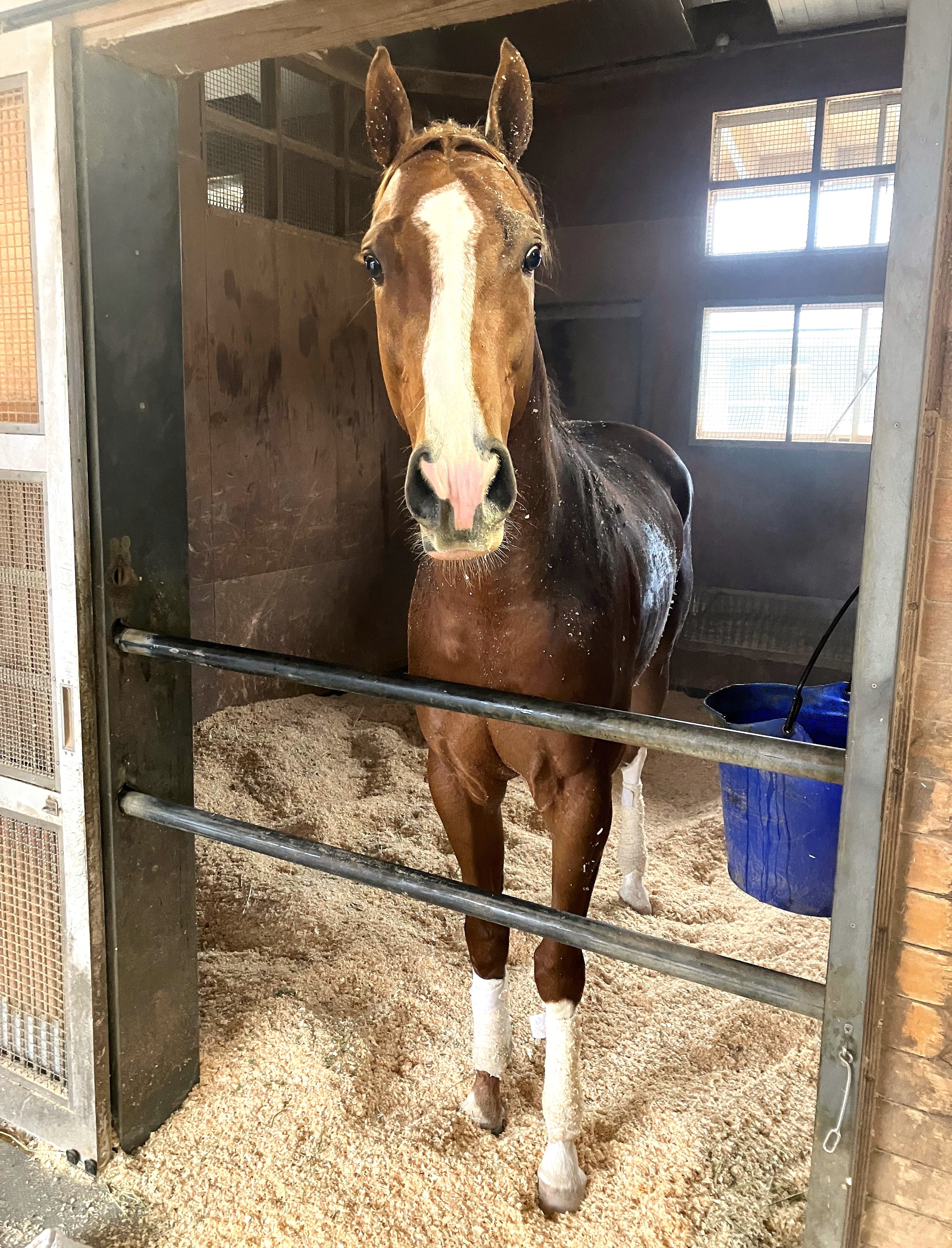 画像サムネイル