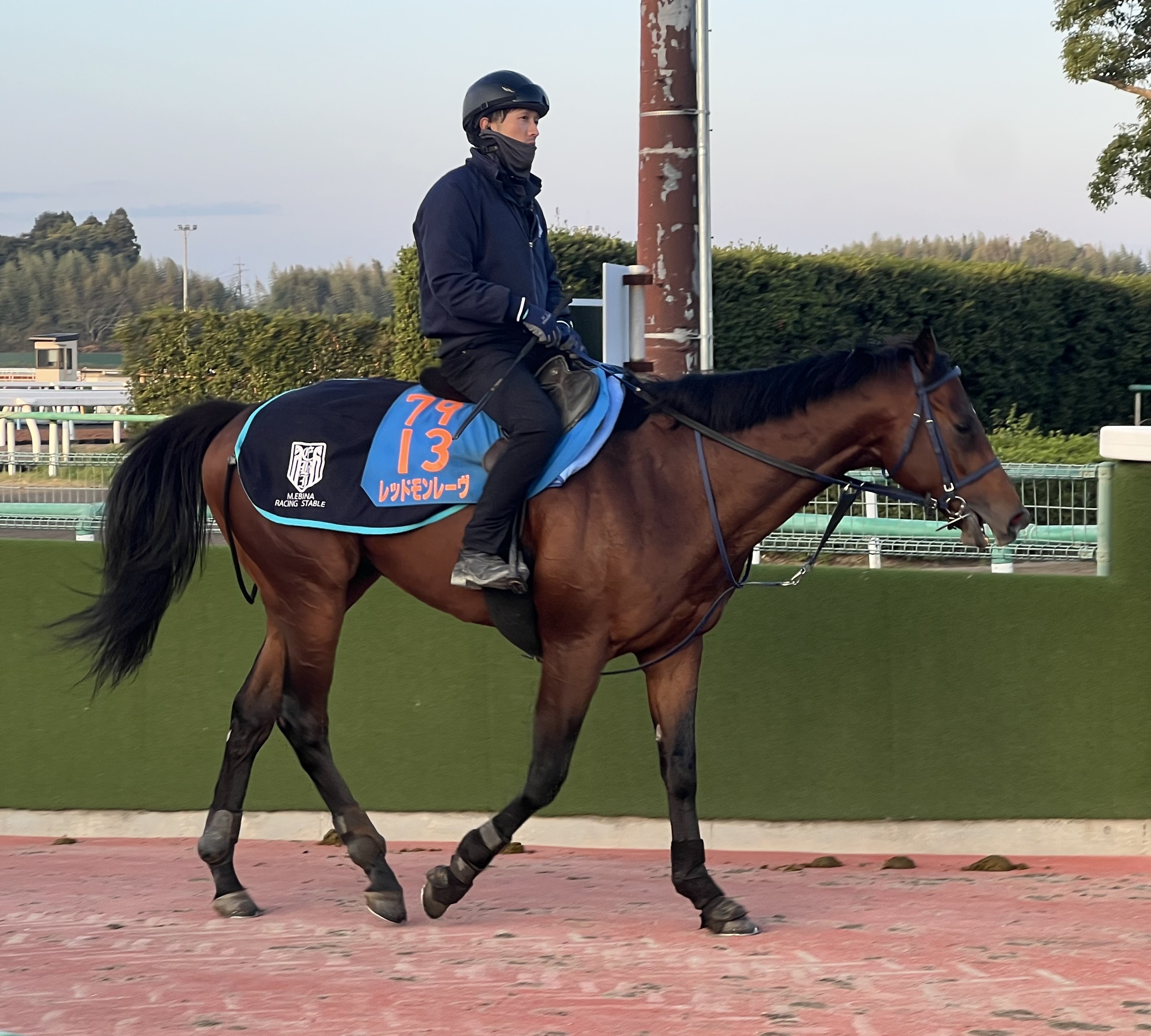 画像サムネイル