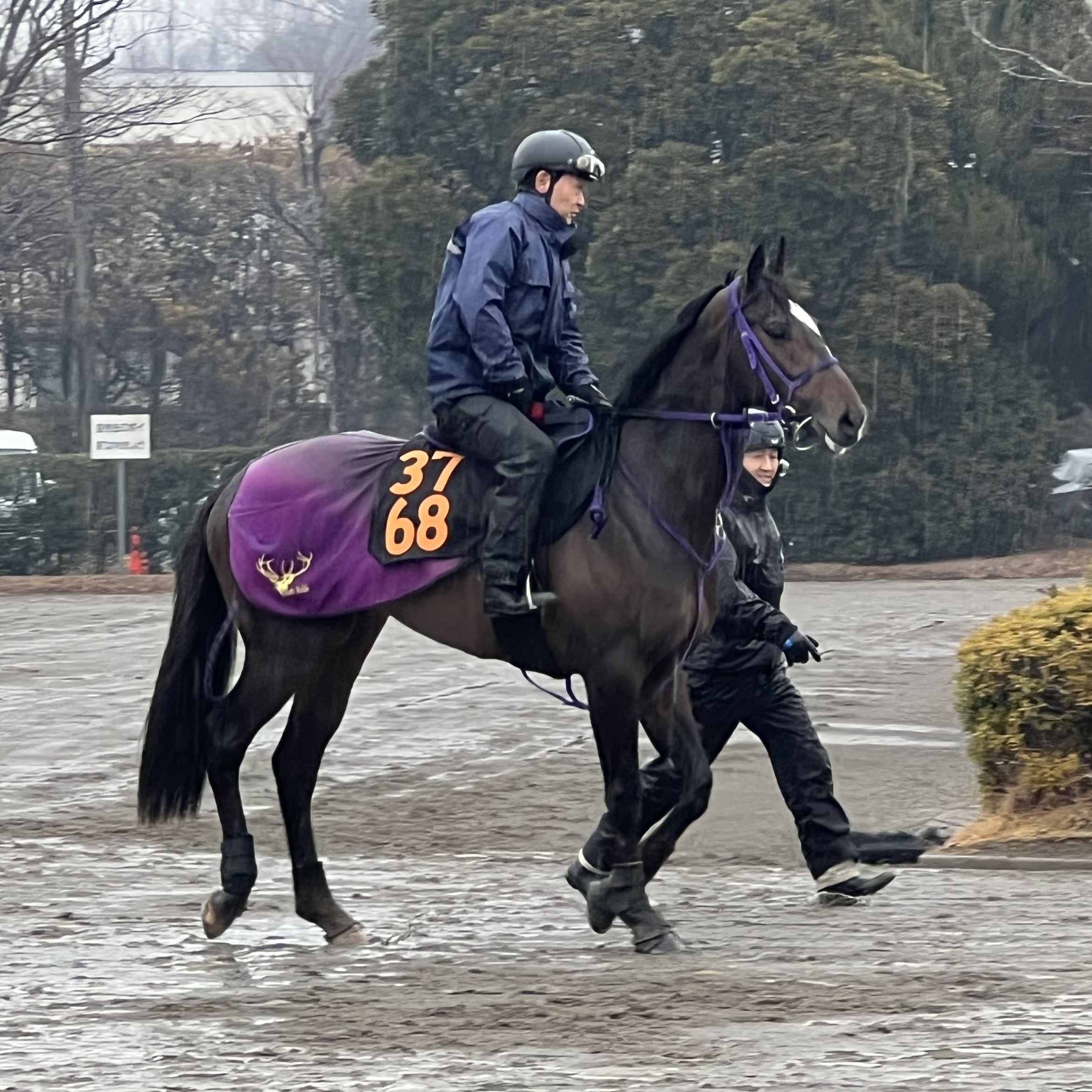 画像サムネイル