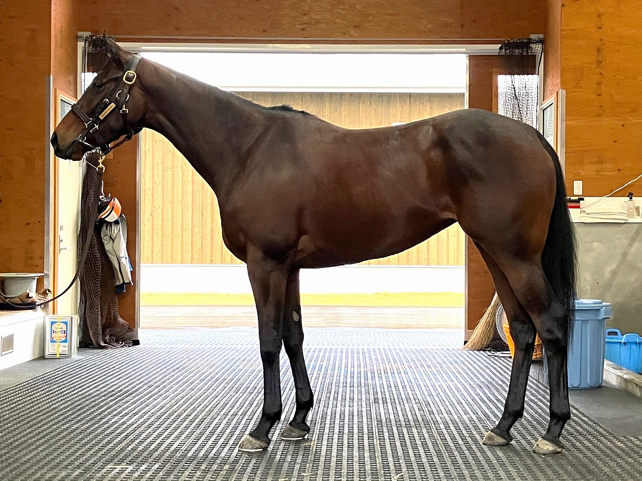 画像サムネイル