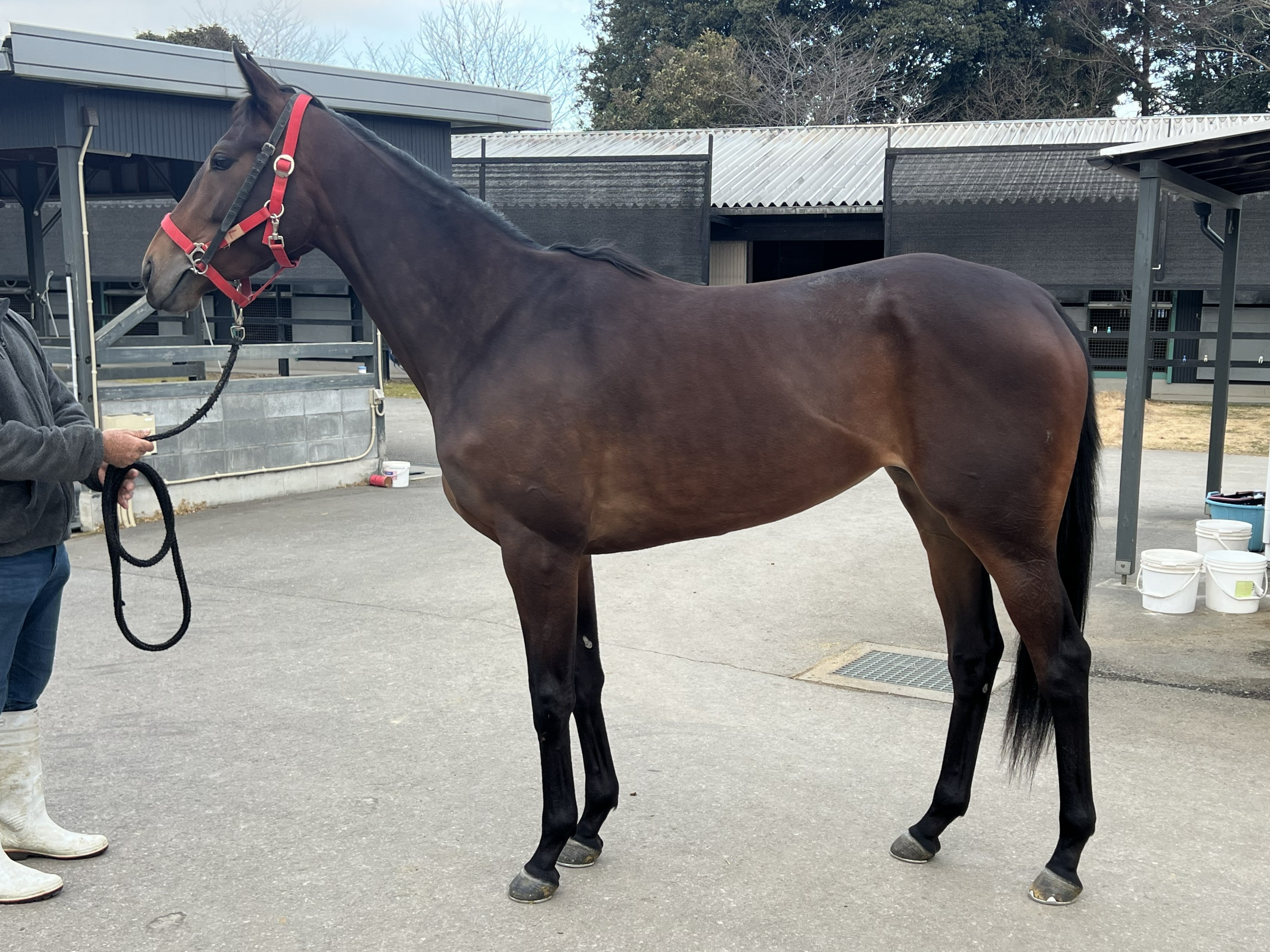 画像サムネイル