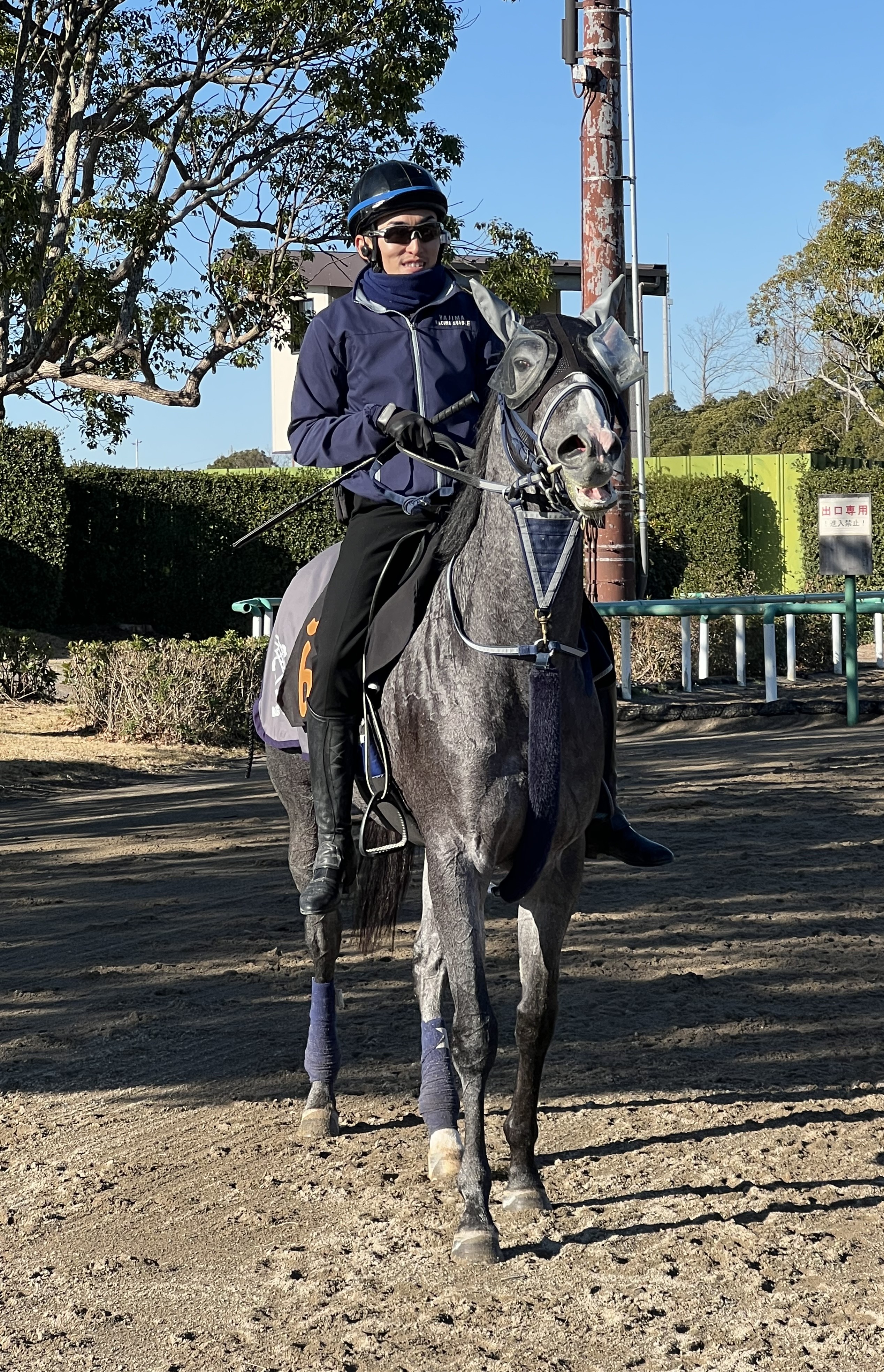 画像サムネイル