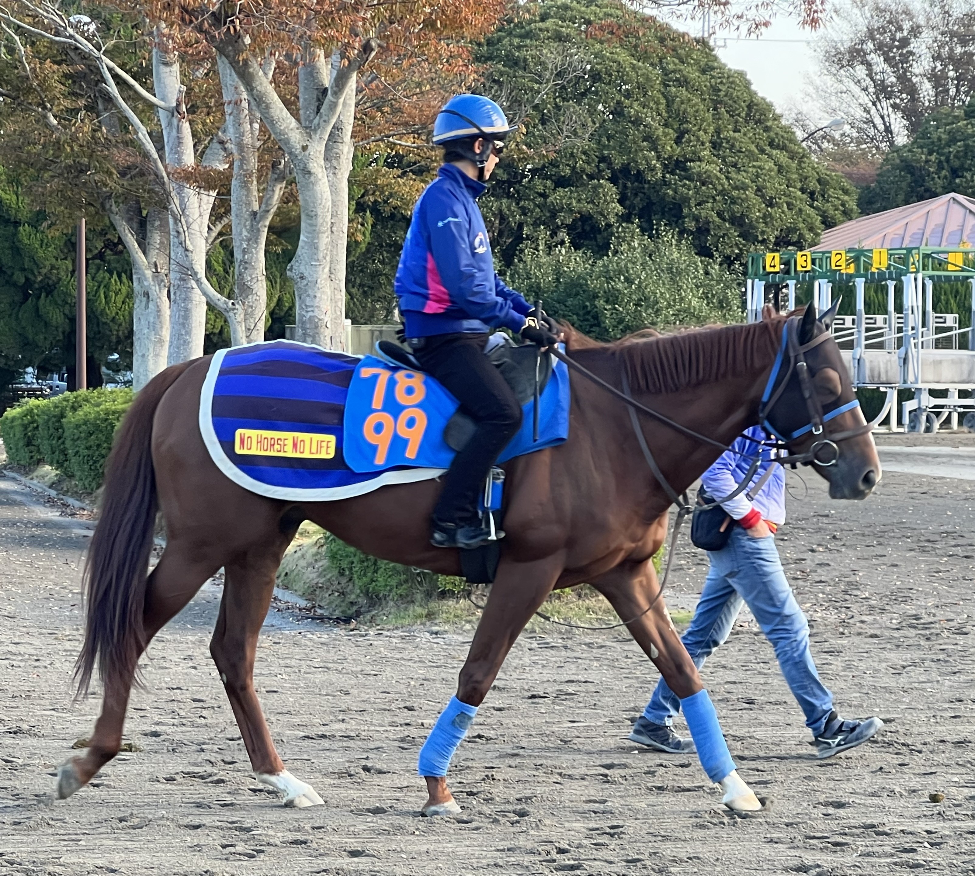 画像サムネイル