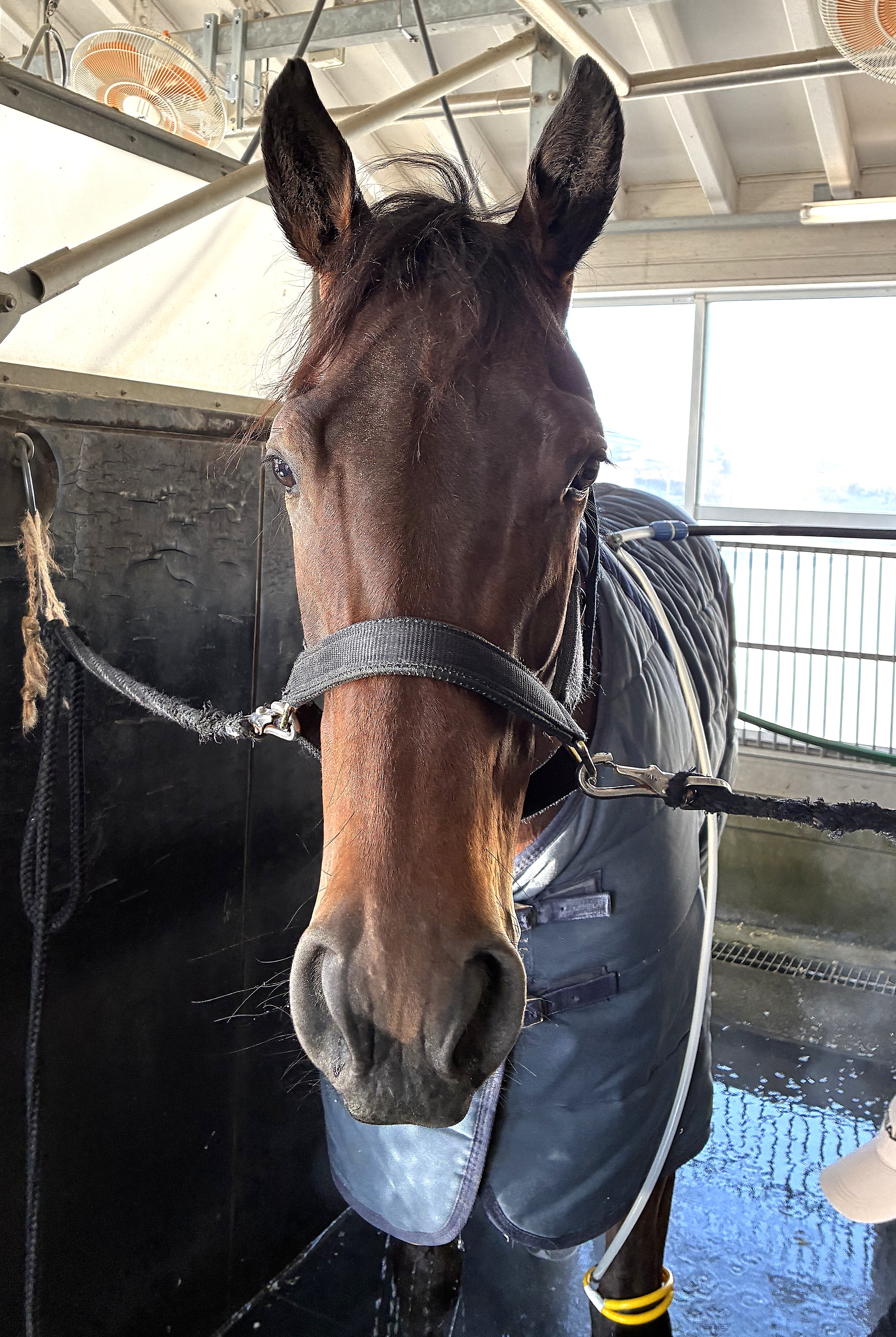 画像サムネイル