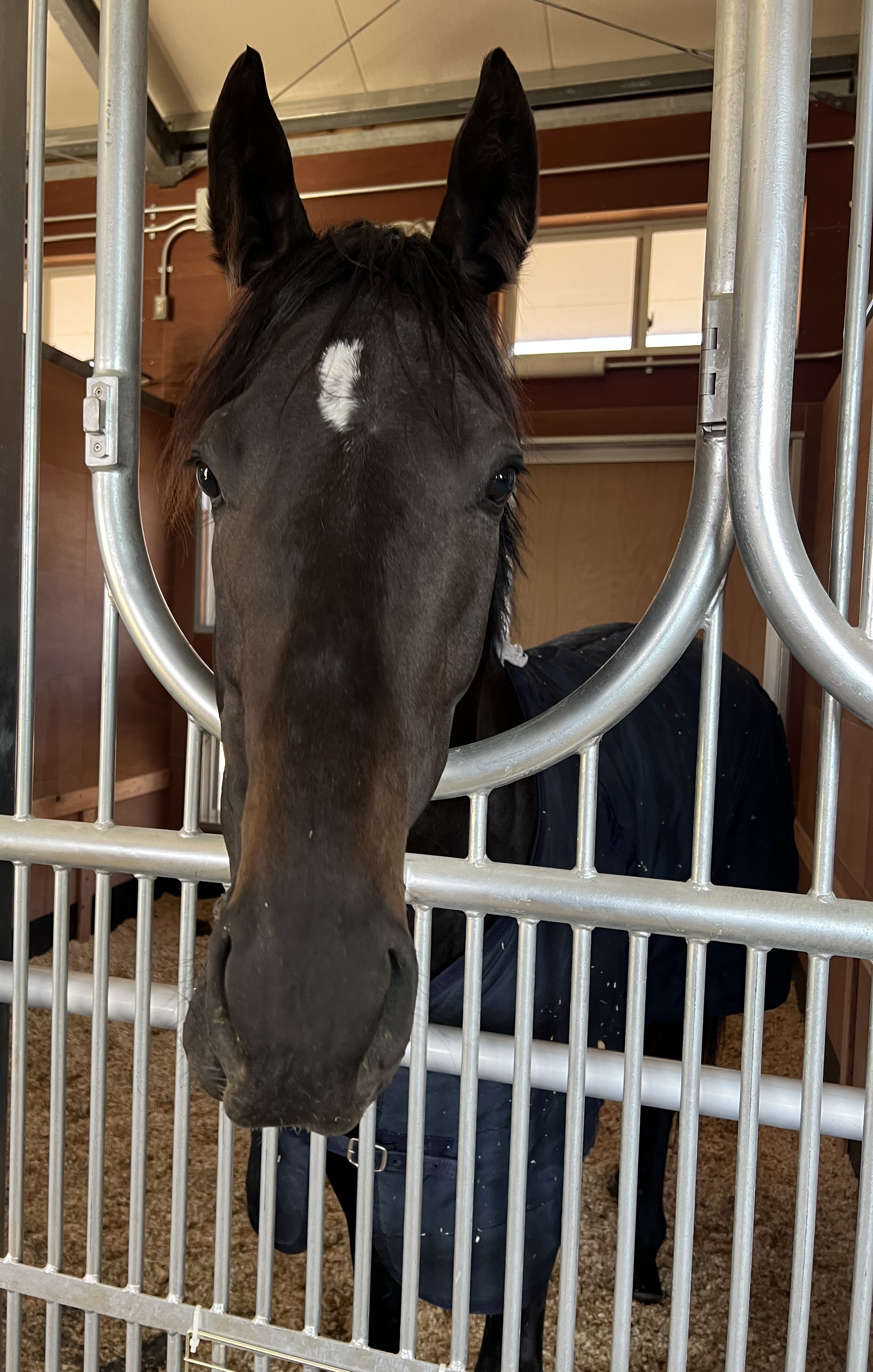 画像サムネイル